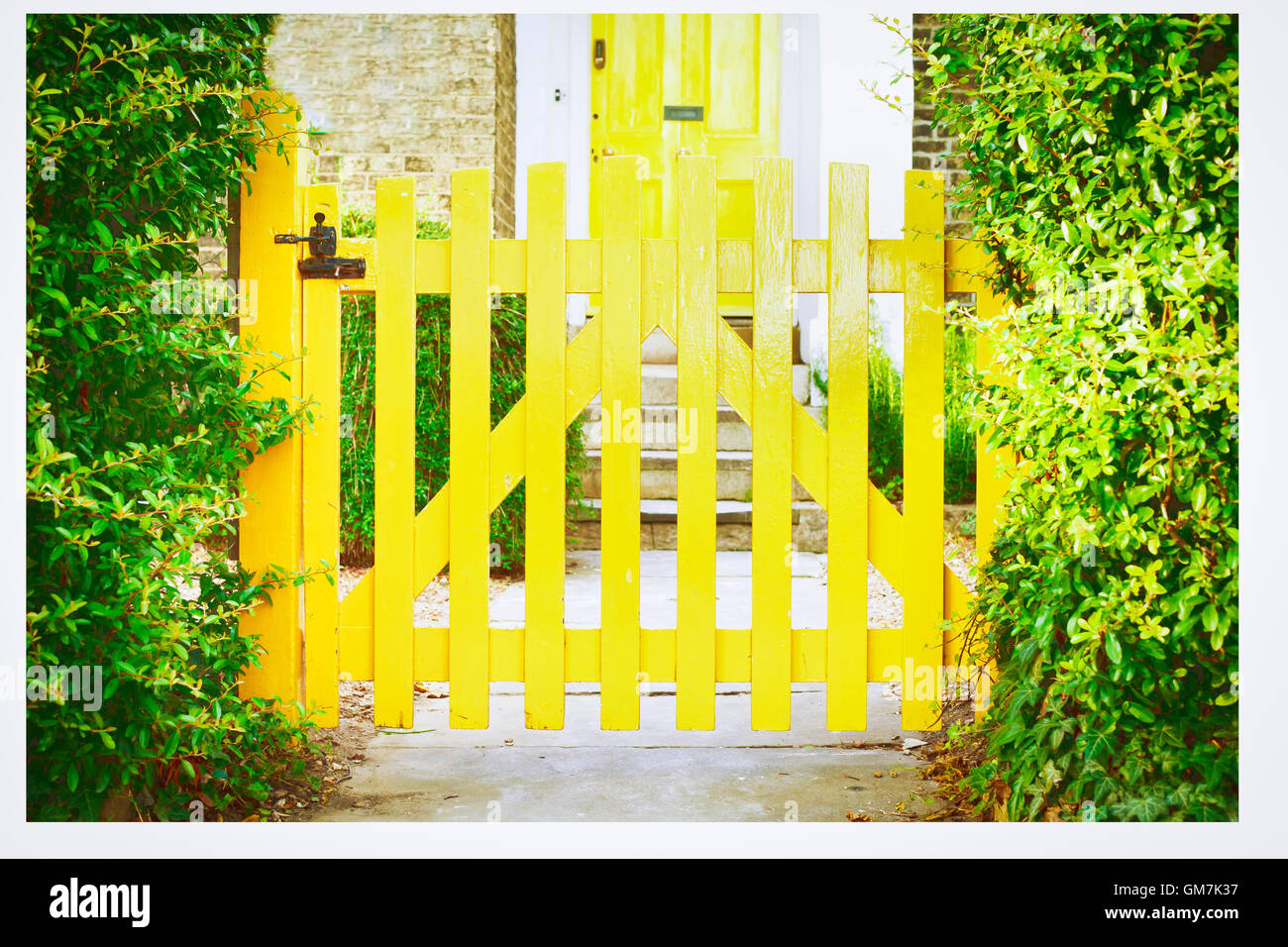 забор желтого цвета. желтый забор. желтый забор из профнастила. цветы на заборе. деревянный забор желтого цвета.