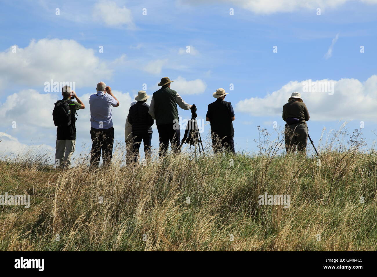 People birdwatching at RSPB nature reserve,  Boyton Marshes, Suffolk, England, UK Stock Photo