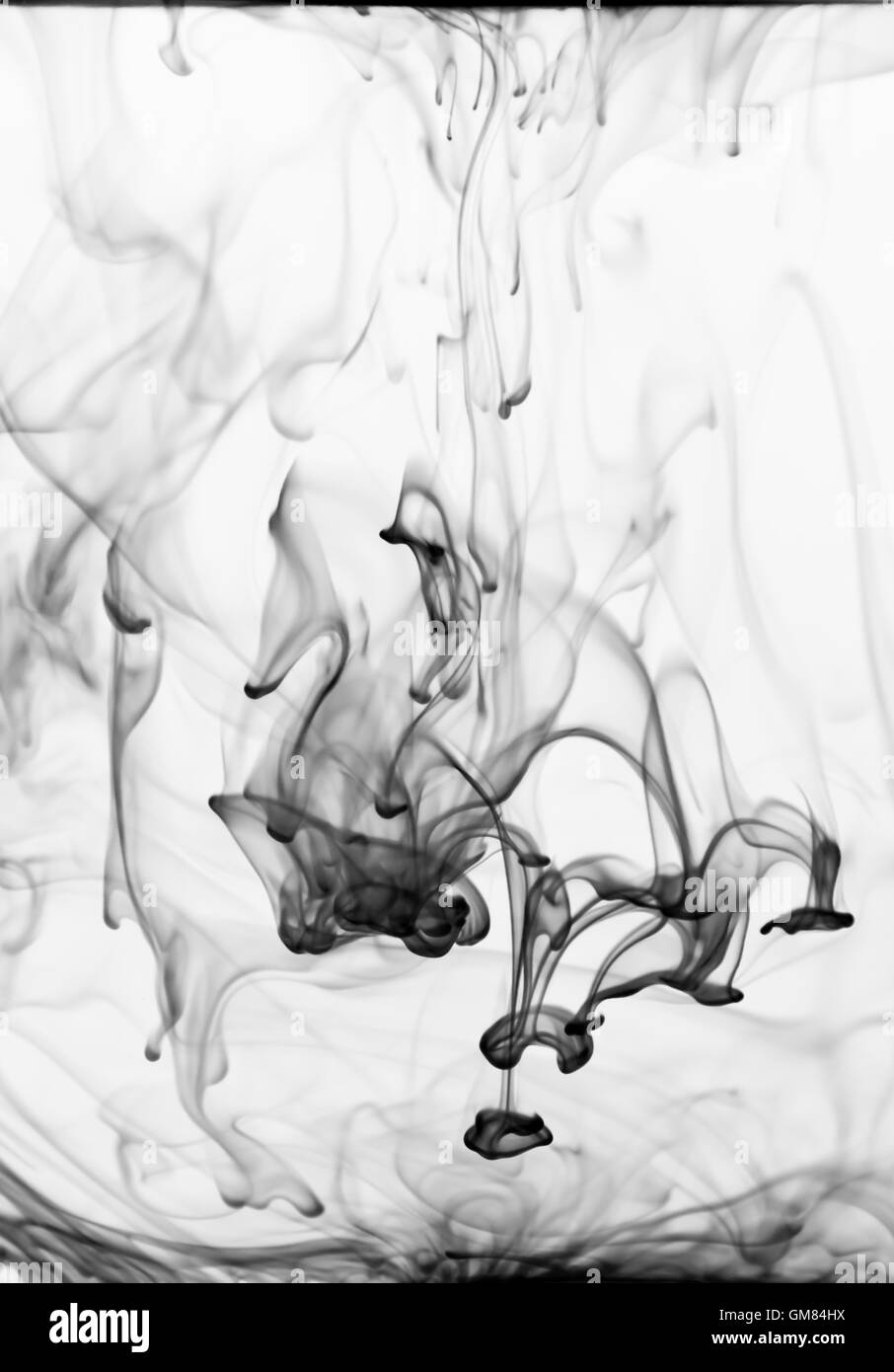 Ink flowing in water creating a black and white abstract Stock Photo ...