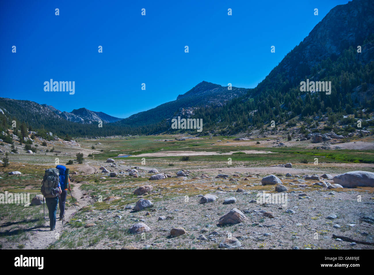 Two hikers in Kerrick meadows on Benson loop in the Hoover & Yosemite