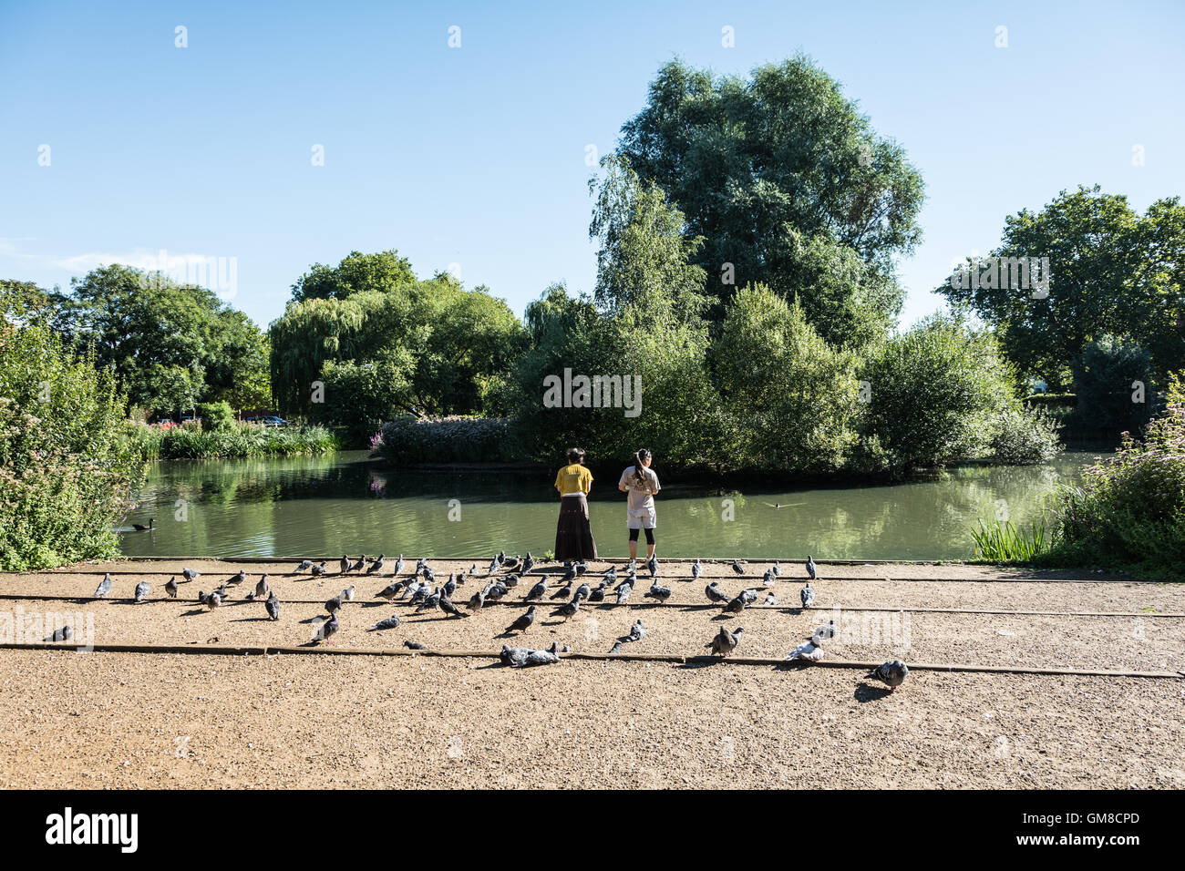 Two Young Women Feeding The Duck At Barnes Pond London Sw13 Uk