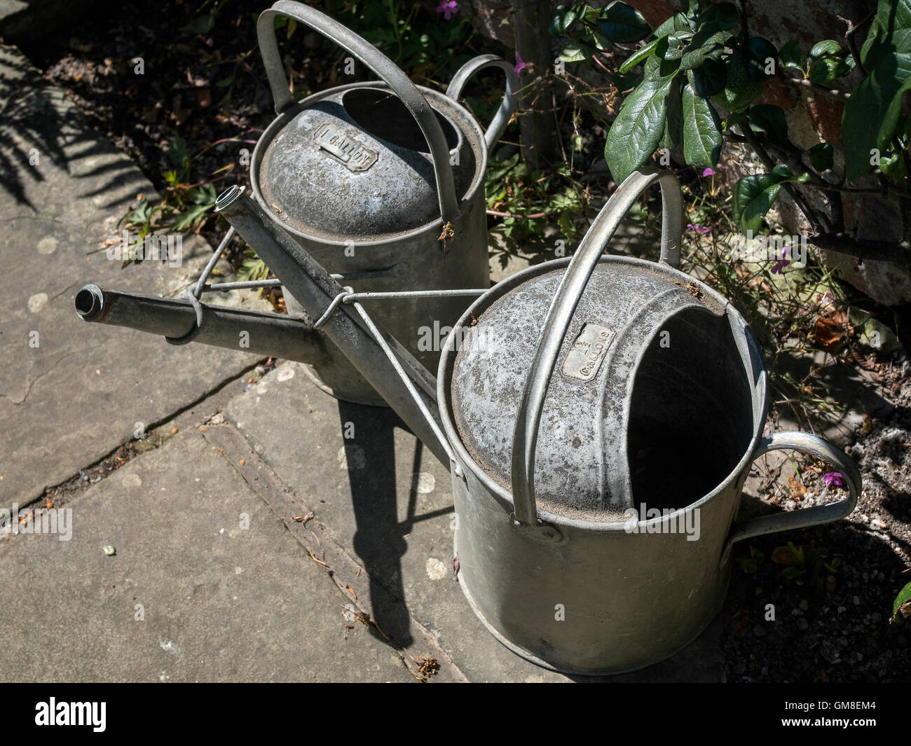 Two old watering cans Stock Photo Alamy