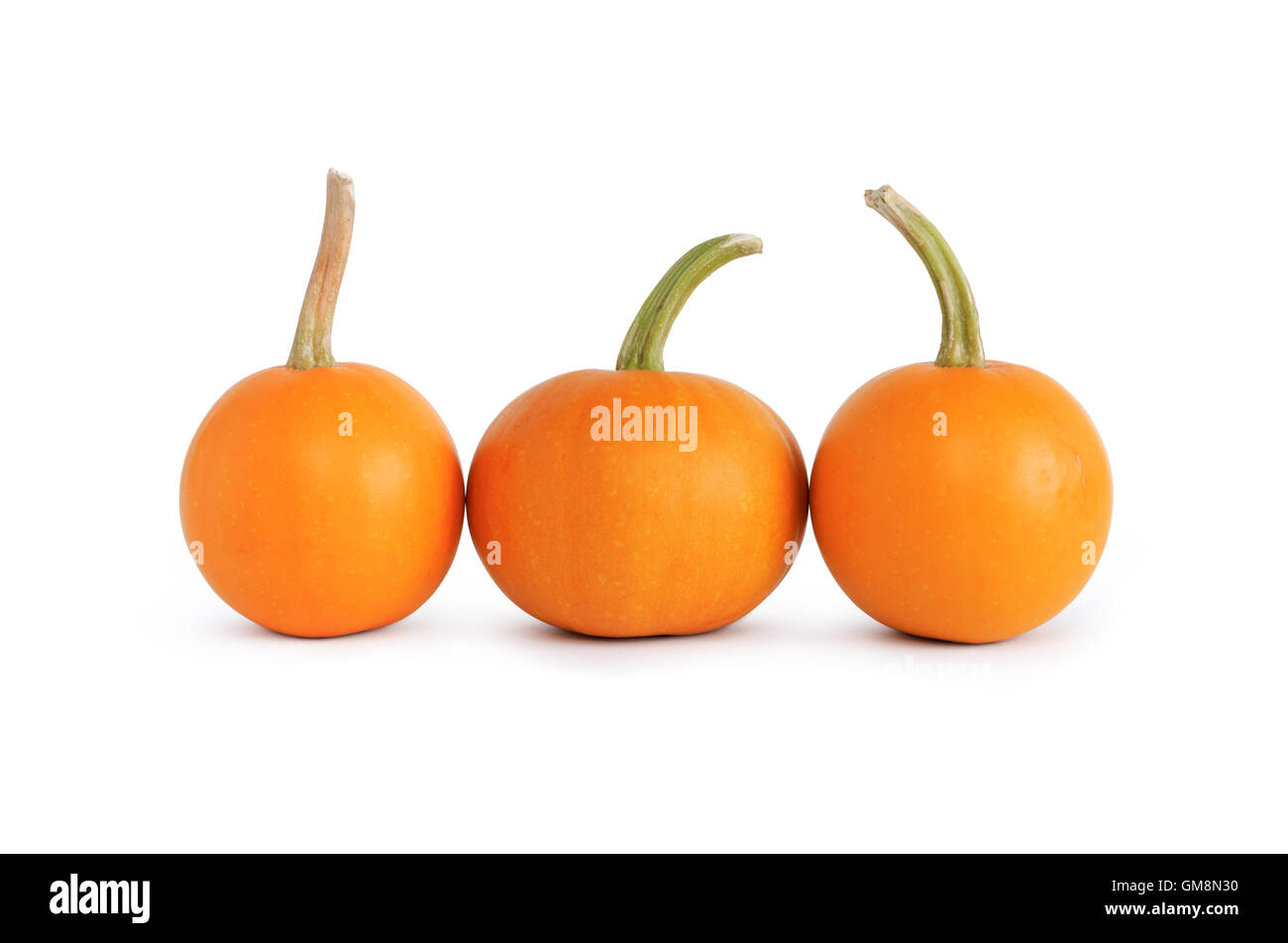 Three Pumpkins In A Row Stock Photo