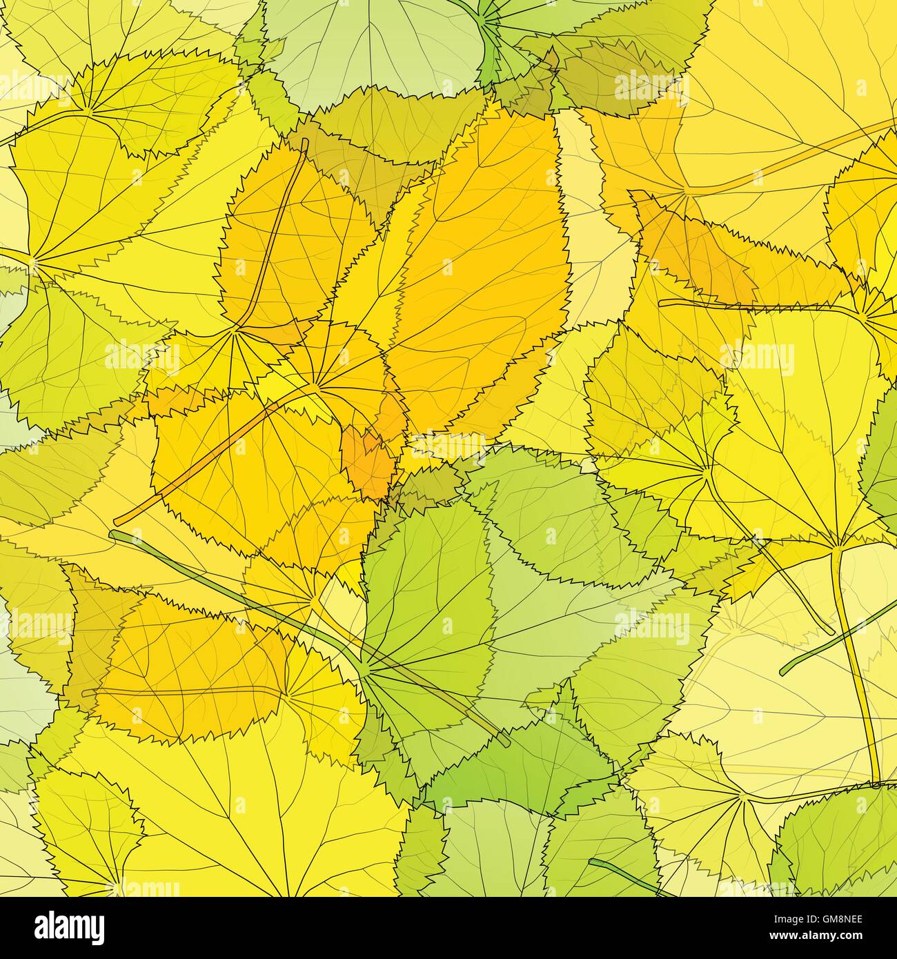 Leaves autumn background vector abstract illustration card with white ...