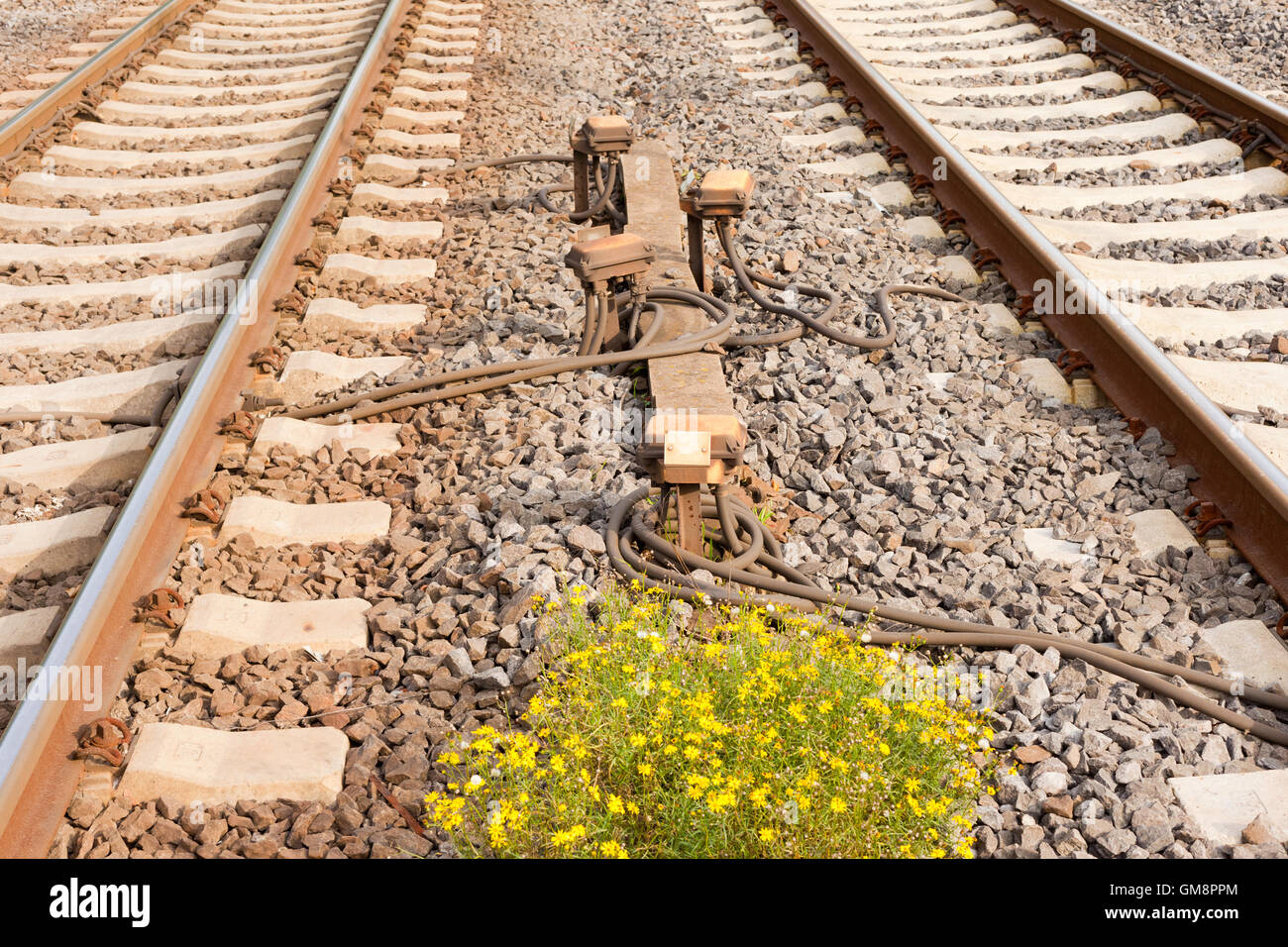 Sensor Devices between Railwaay Tracks Stock Photo