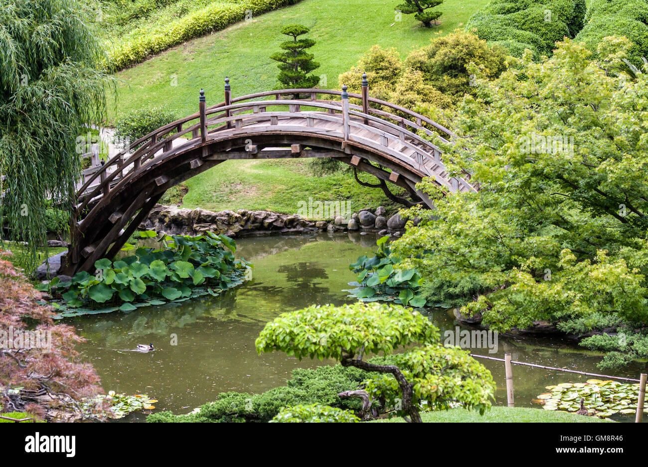 Japanese garden Stock Photo