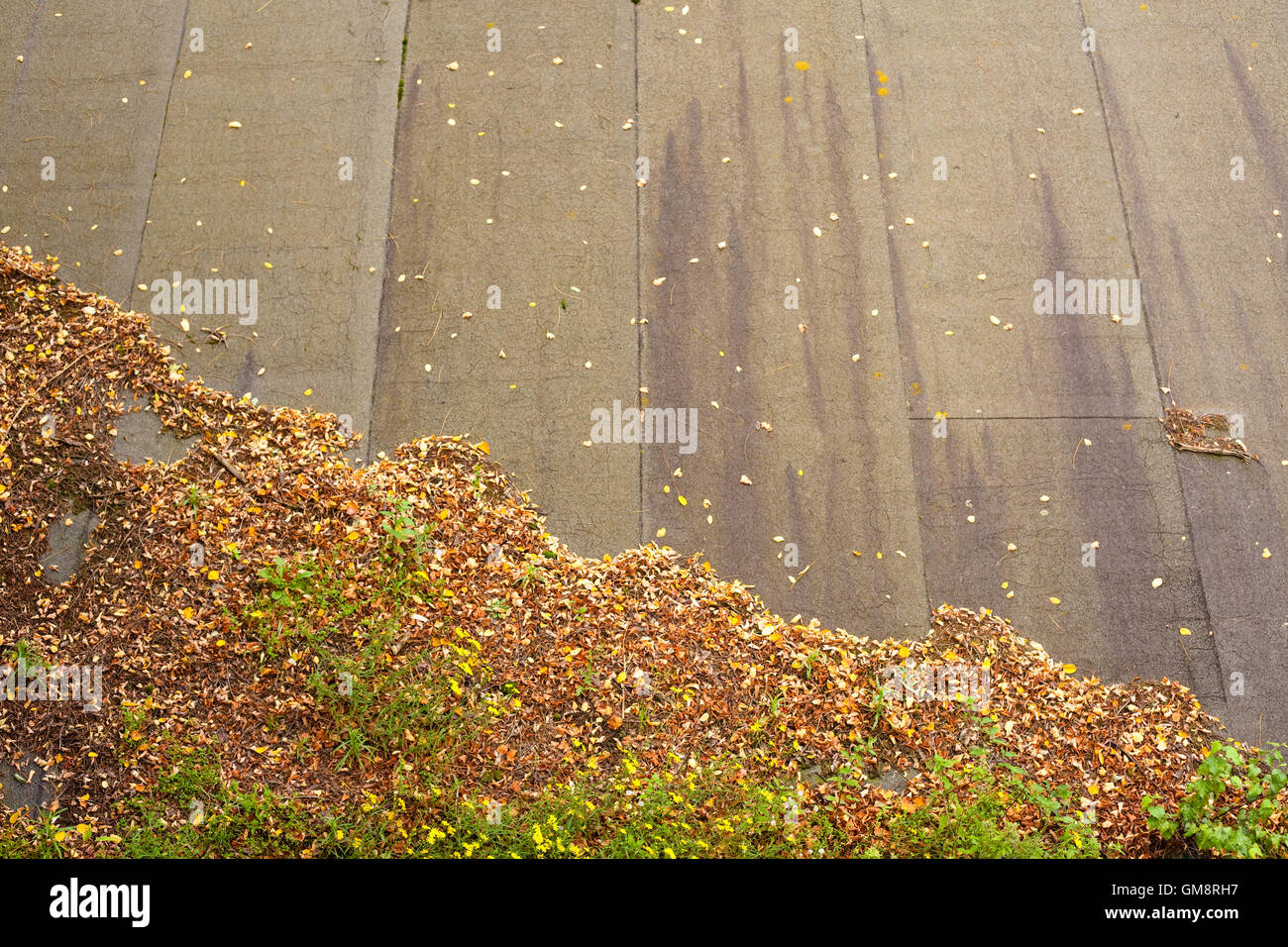 Transience and renewal hi-res stock photography and images - Alamy