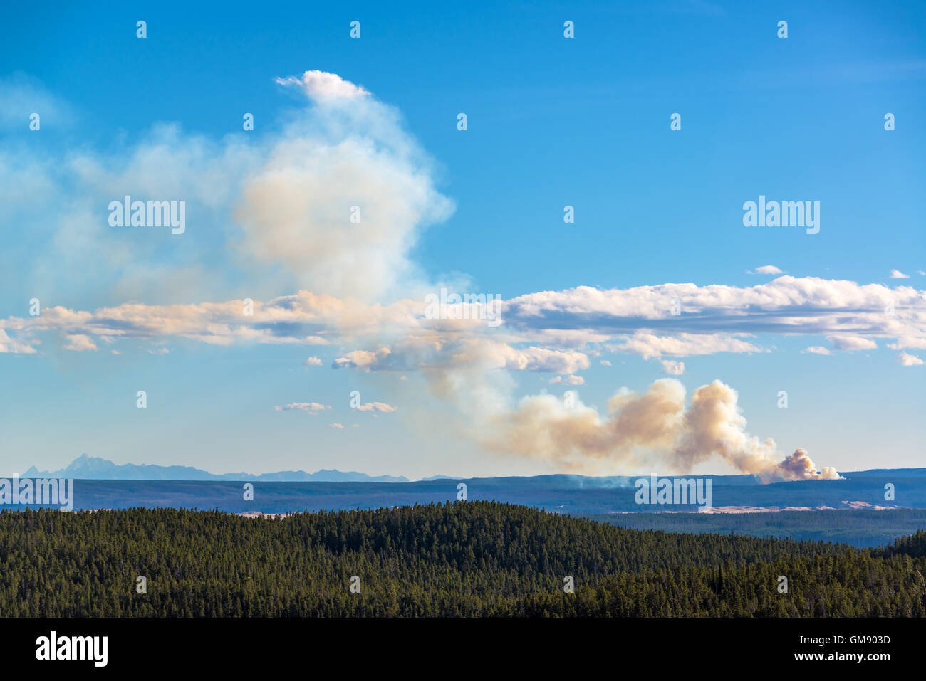 View of a wildfire burning in Yellowstone National Park Stock Photo Alamy