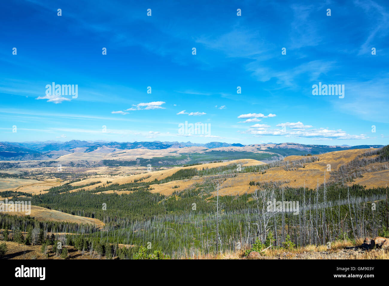Rugged landscape as seen from Mount Washburn in Yellowstone National Park Stock Photo