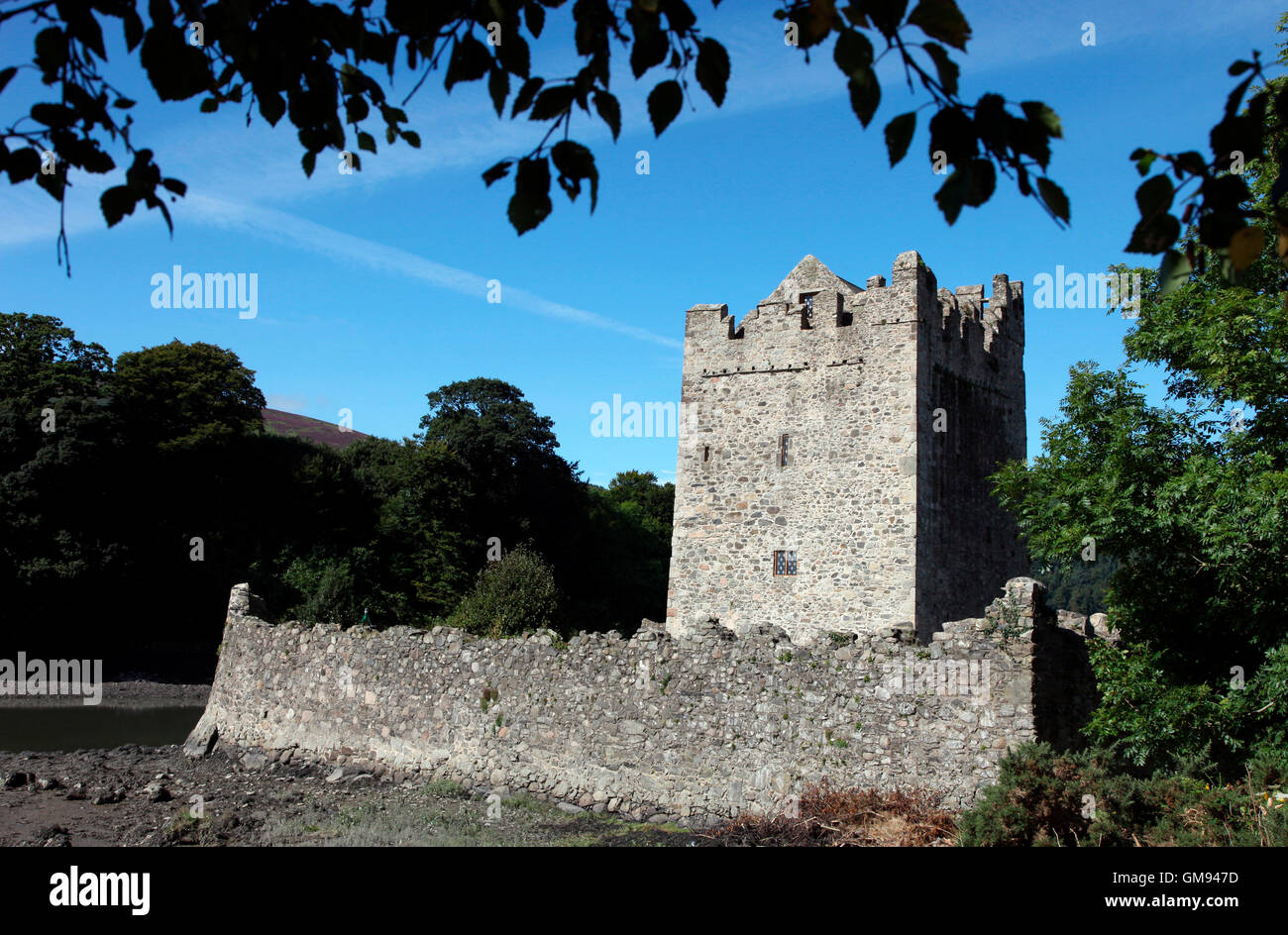 Narrow Water Castle, Elizabethan tower house, Newry, County Down Stock Photo