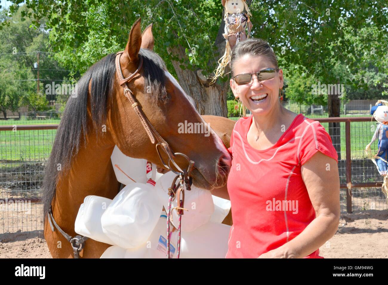 Nudge from horse puts grin on handlers face -New Mexico - USA Stock Photo
