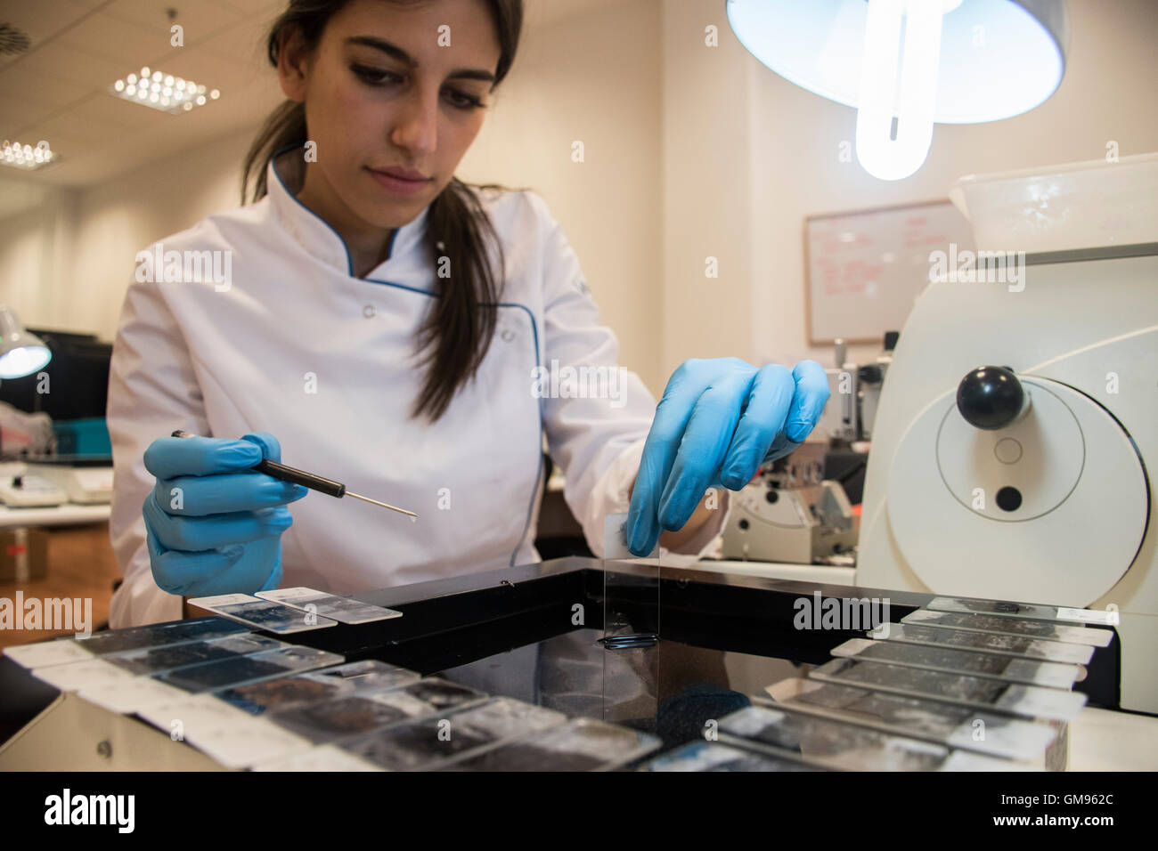 Laboratory technician in analytical laboratory preparing object plates