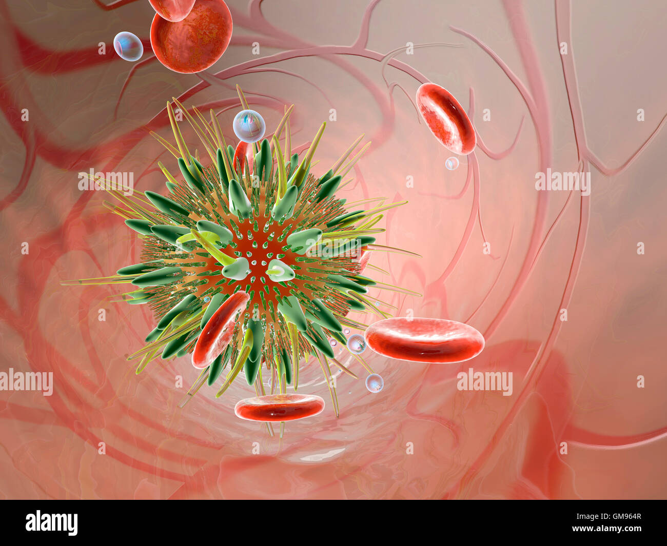 Virus in bloodstream, 3D Rendering Stock Photo