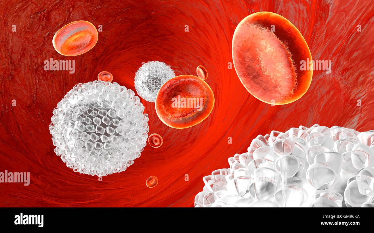 Erythrocytes and leukocytes flowing in a blood vessel Stock Photo