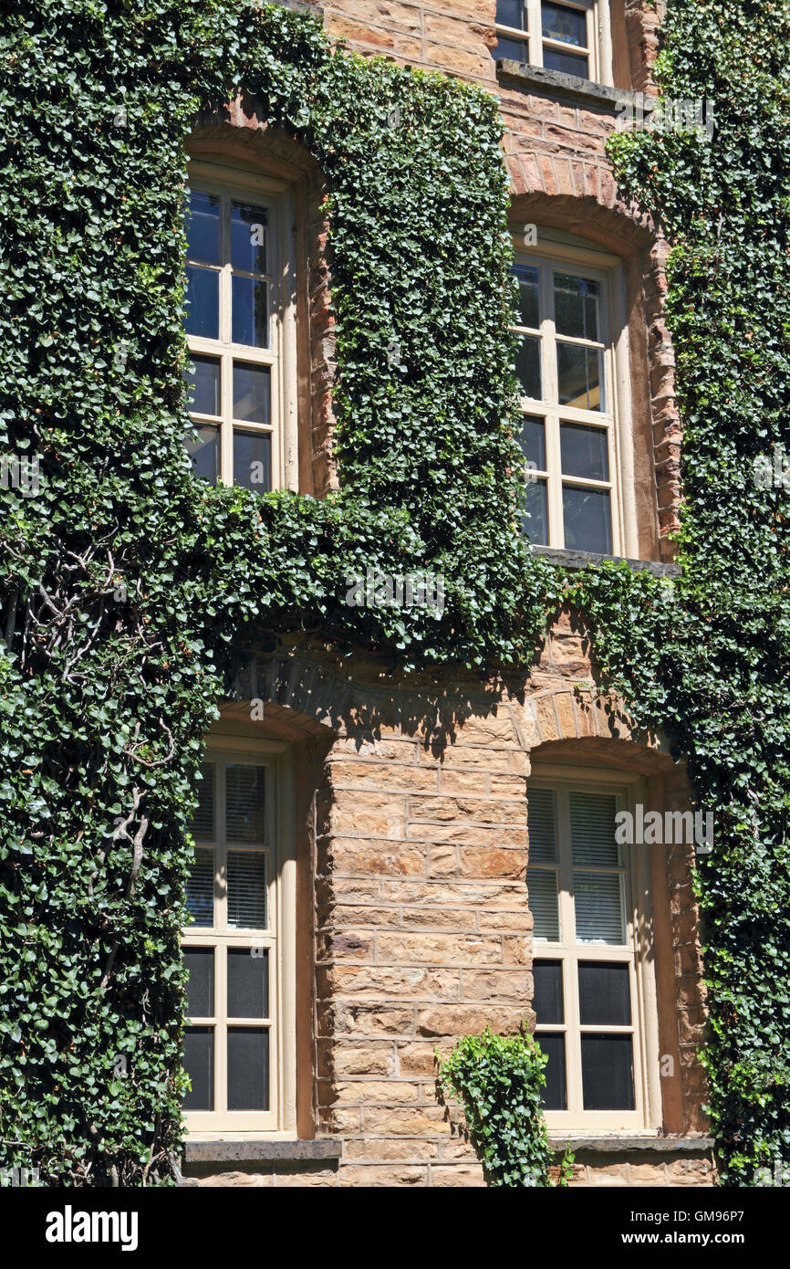 Ivy covered walls of Nassau Hall, Princeton University, Princeton, New Jersey, USA Stock Photo