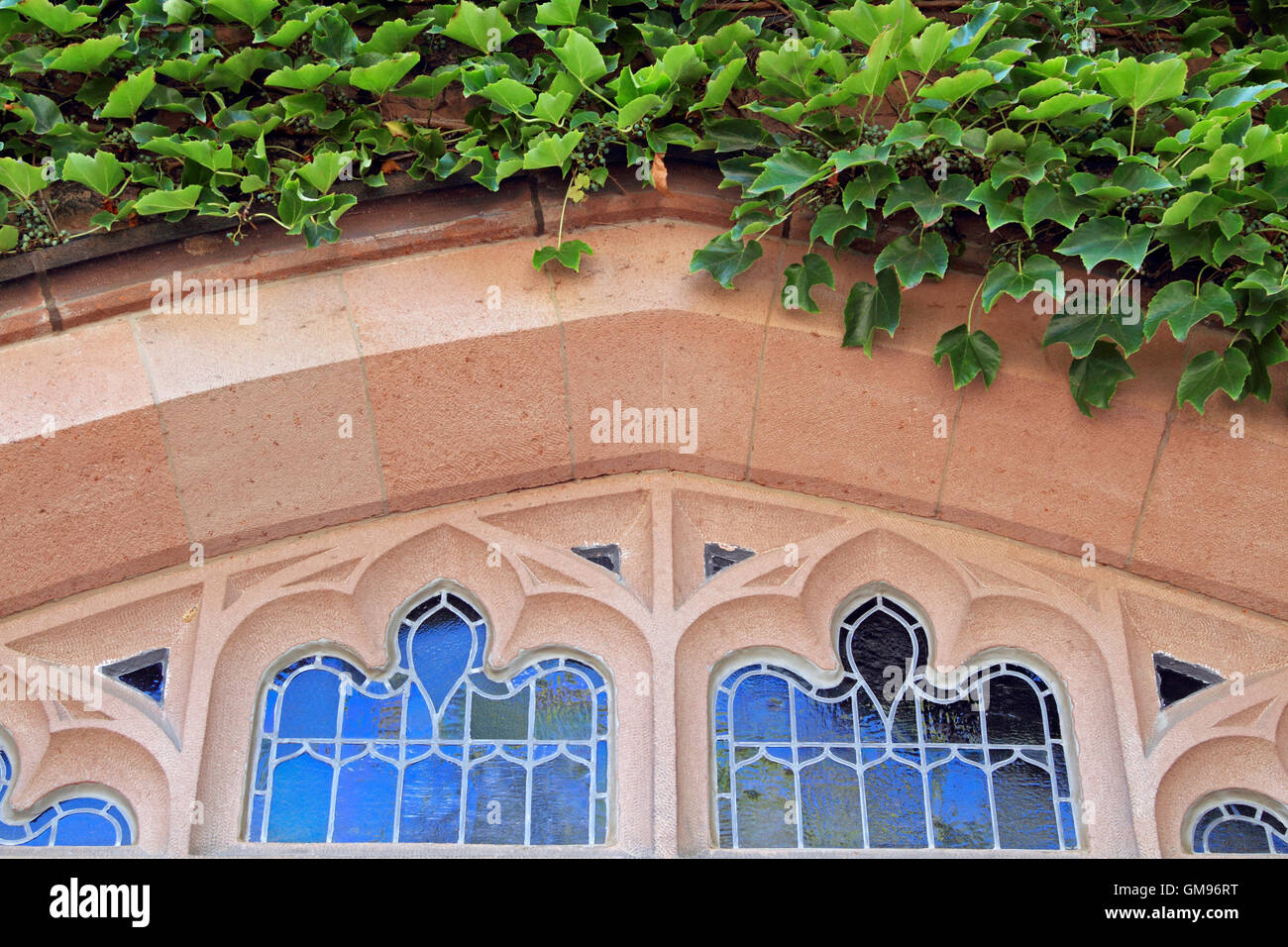Ivy covered window, Princeton University, Princeton, New Jersey, USA Stock Photo