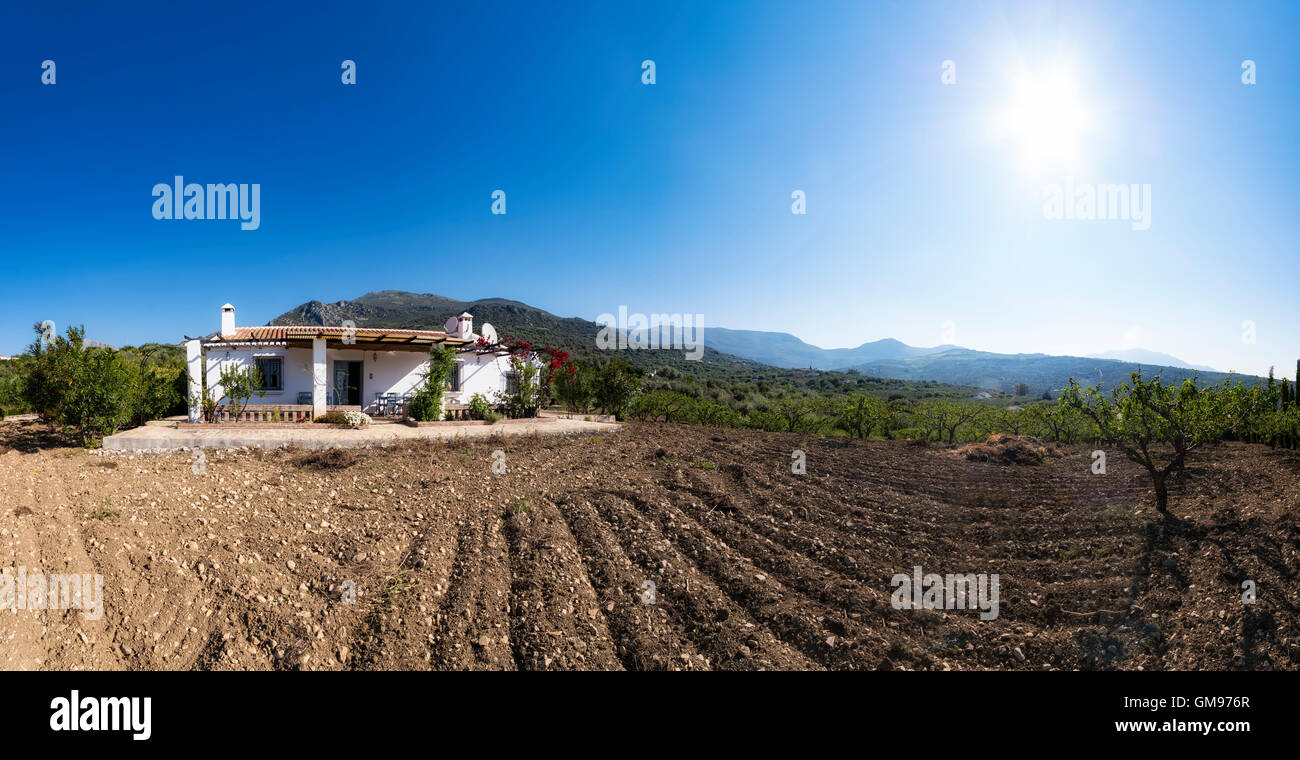 Spain, Andalucia, Finca Stock Photo