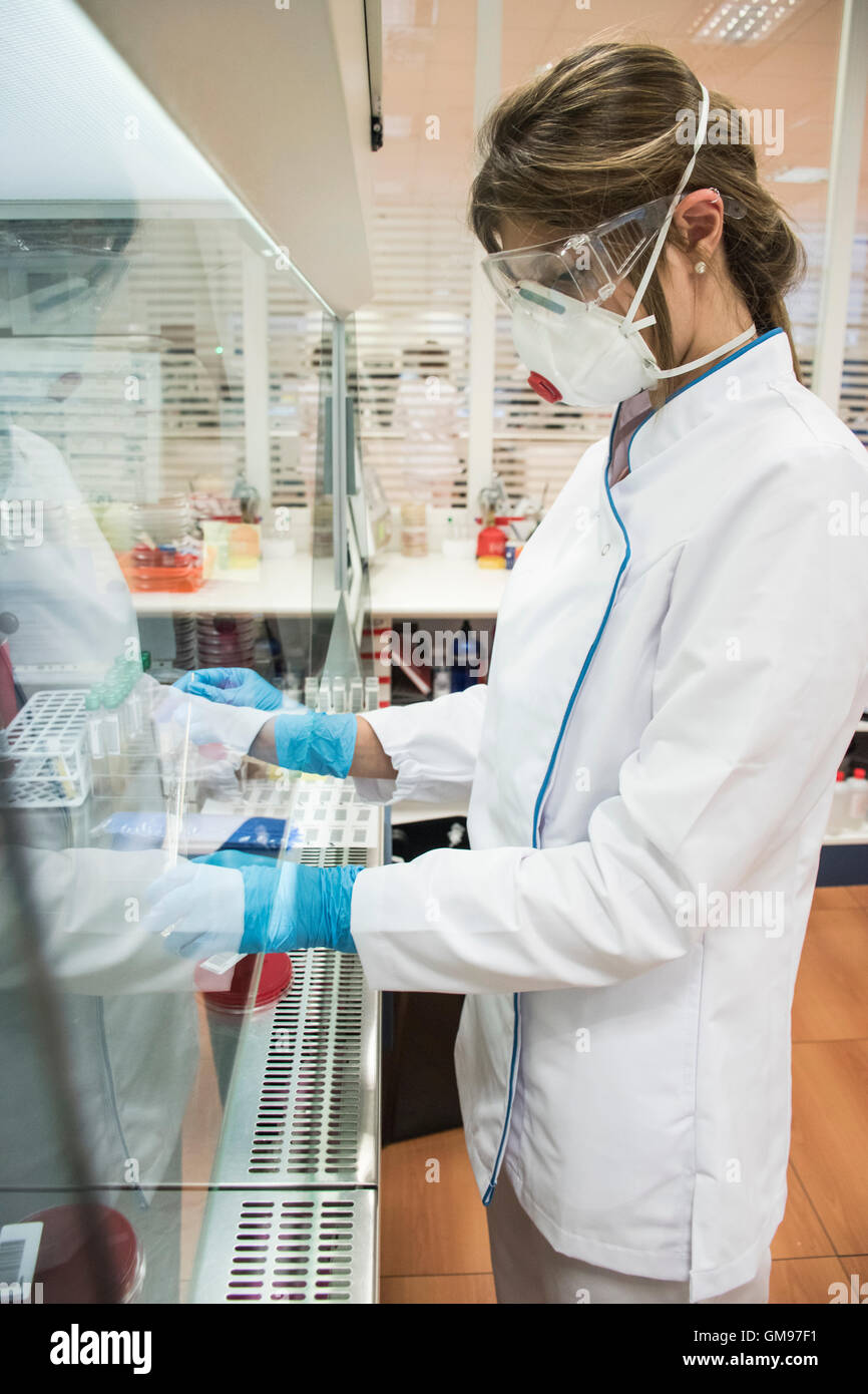 Laboratory technician in analytical laboratory culturing cells in petri