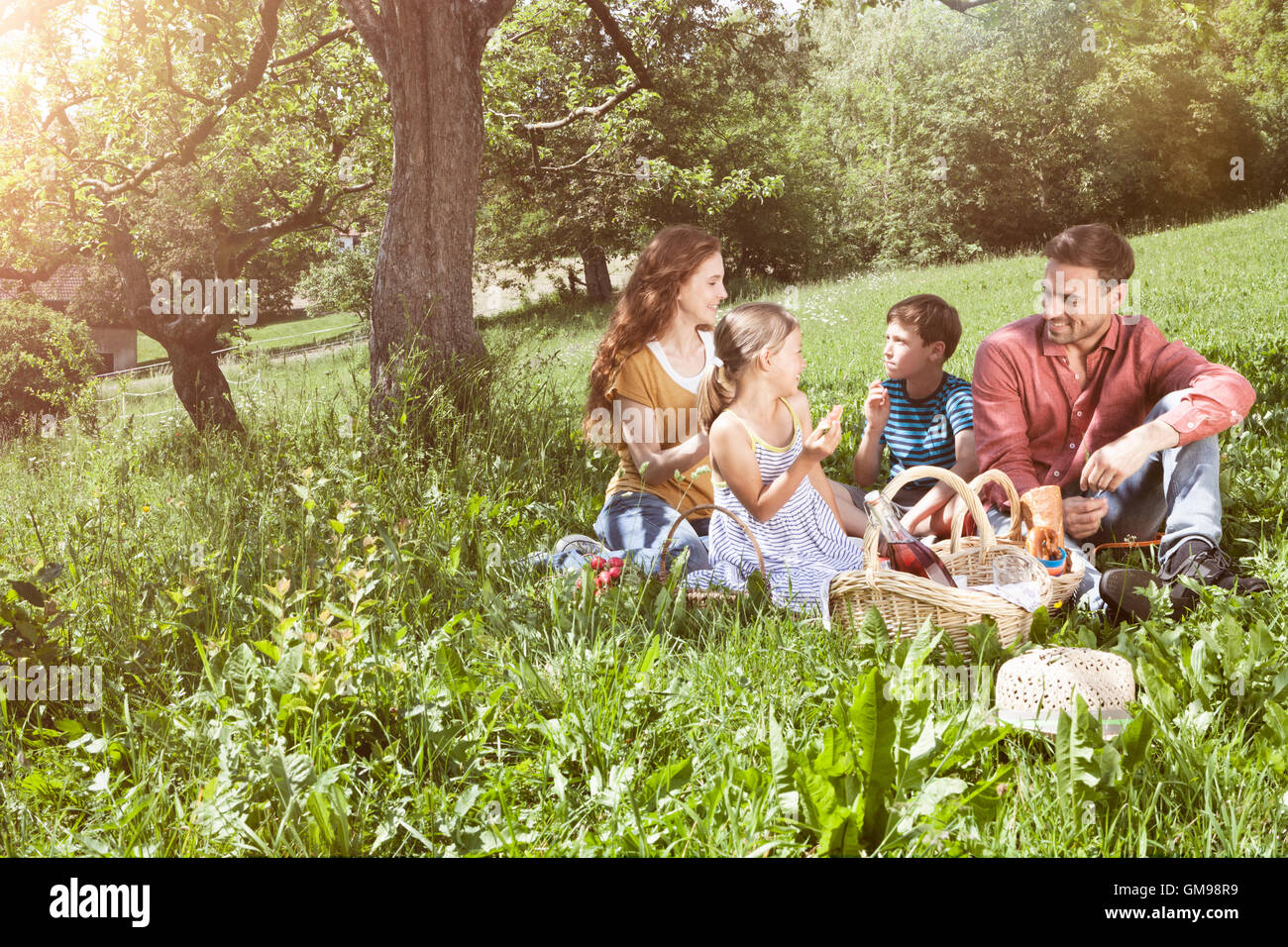 Family boy picnic basket eating hi-res stock photography and images - Alamy