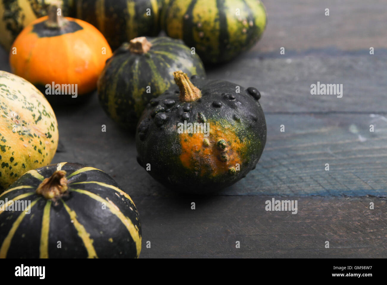 Ornamental pumpkins hi-res stock photography and images - Alamy