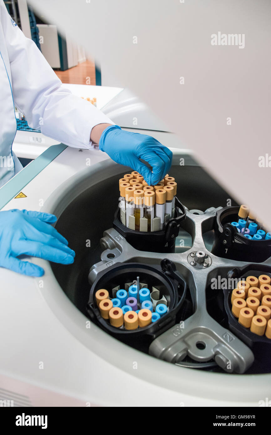 Laboratory technician in analytical laboratory taking test tubes out of