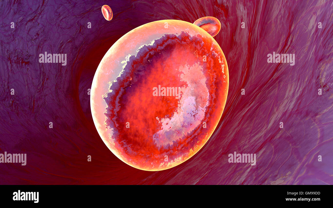 Erythrocyte cells flowing in a blood vessel, 3D Rendering Stock Photo