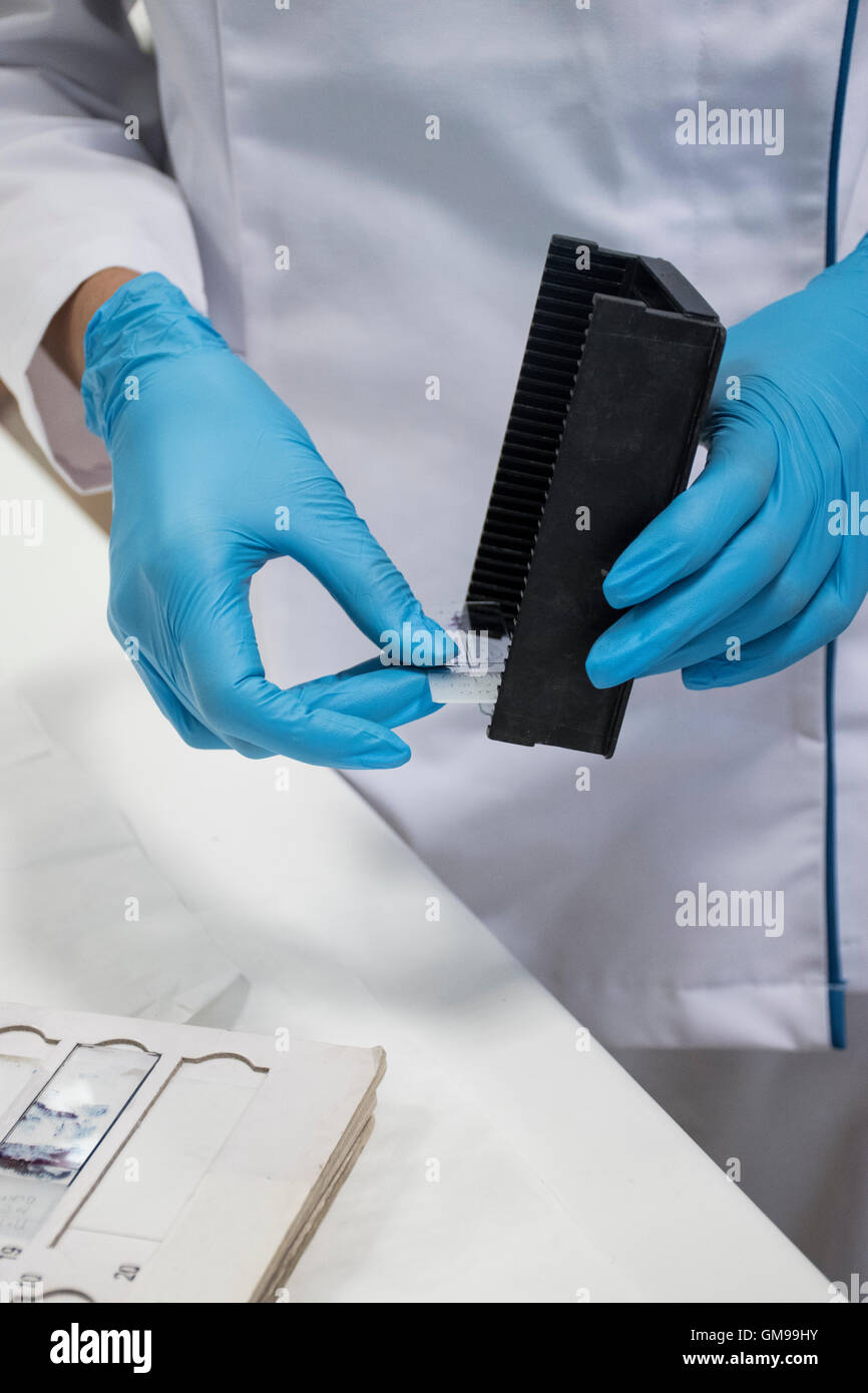 Analytical device hires stock photography and images Alamy