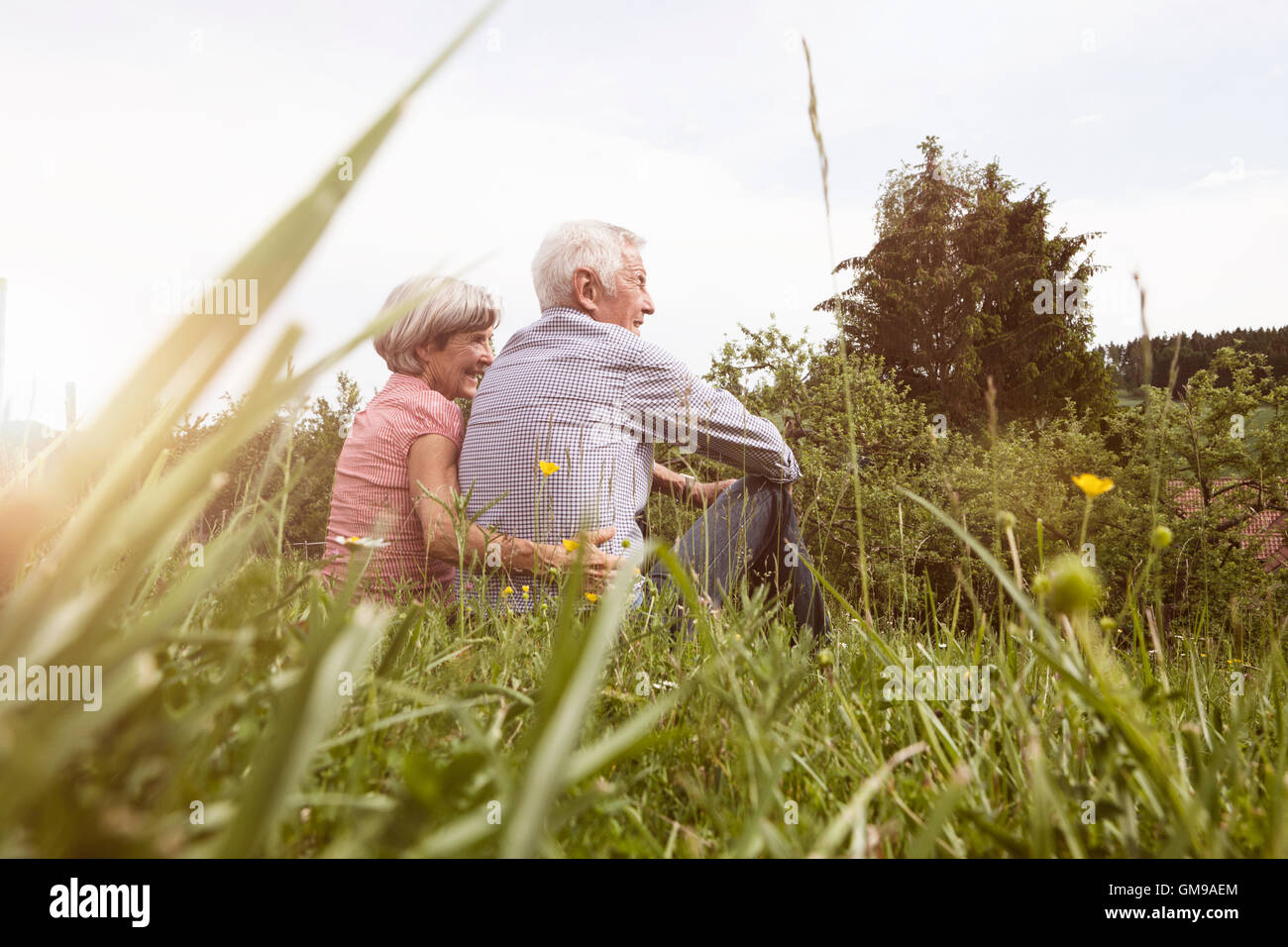 Relaxed senior couple sitting in meadow Stock Photo - Alamy
