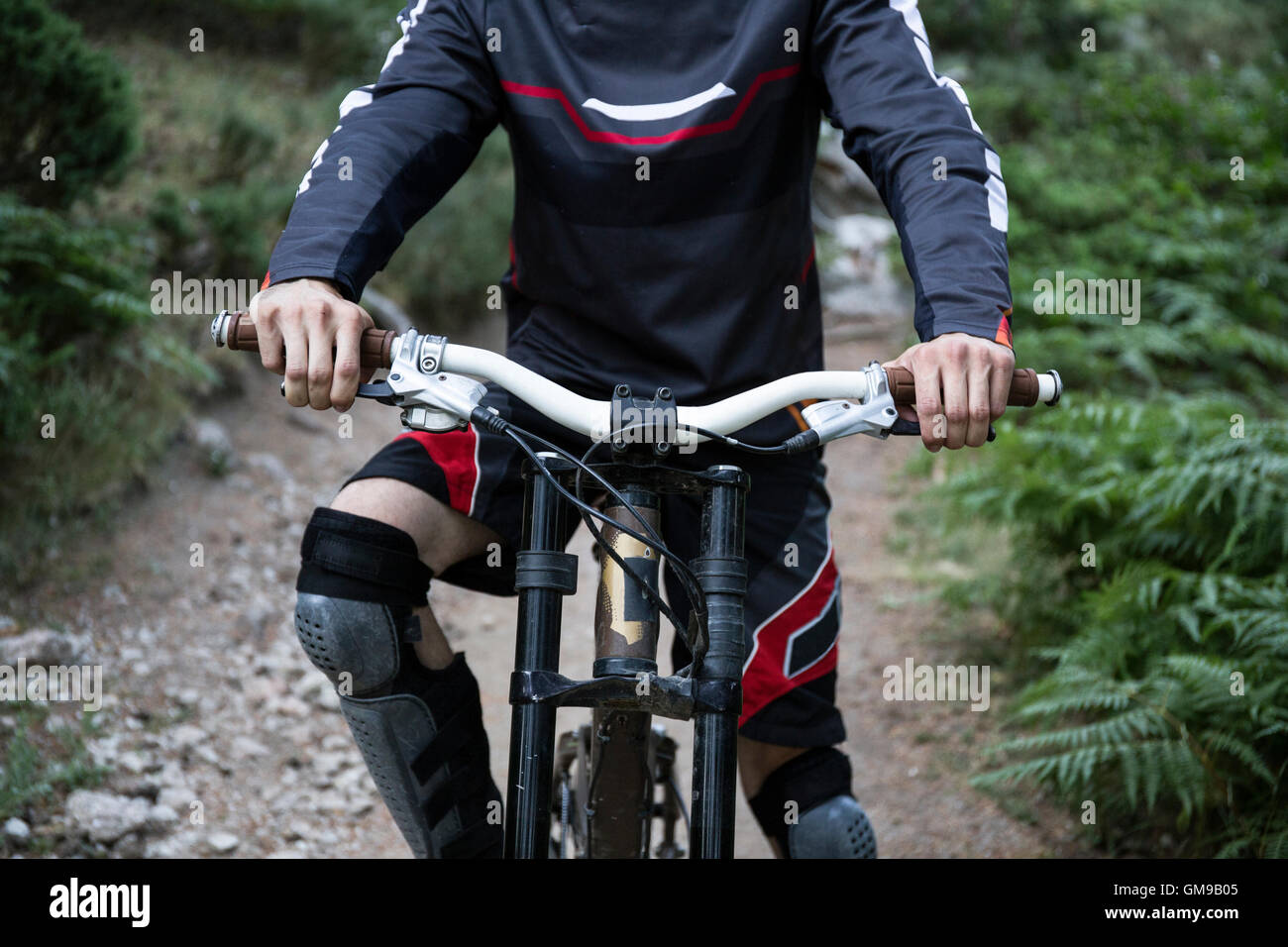 forest mountain biking