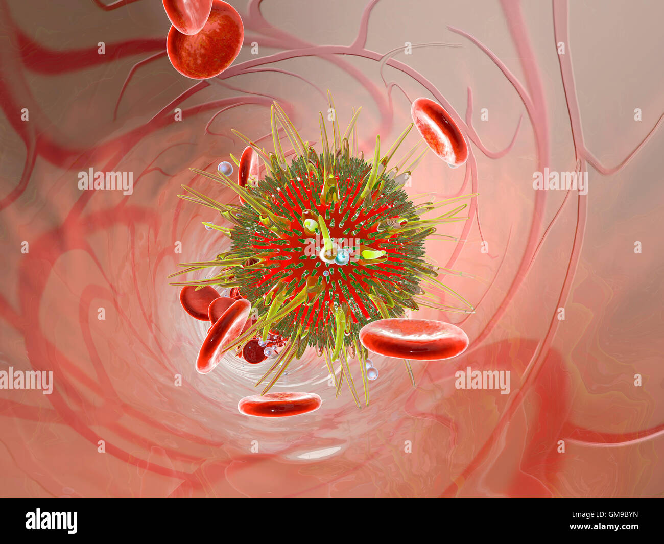 Virus in bloodstream, 3D Rendering Stock Photo