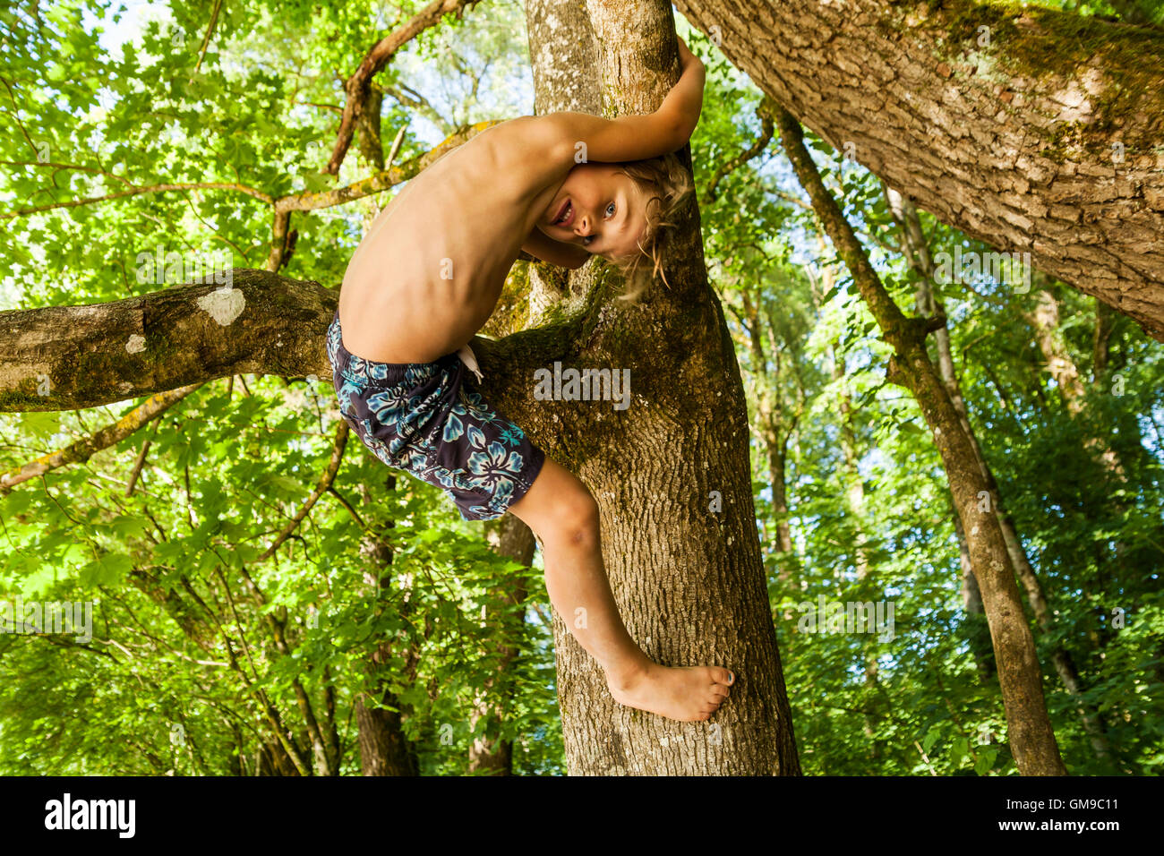 Page 2 Boy Climbing Tree Barefoot High Resolution Stock Photography