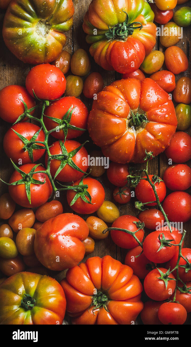 Colorful tomatoes of different sizes and kinds Stock Photo - Alamy