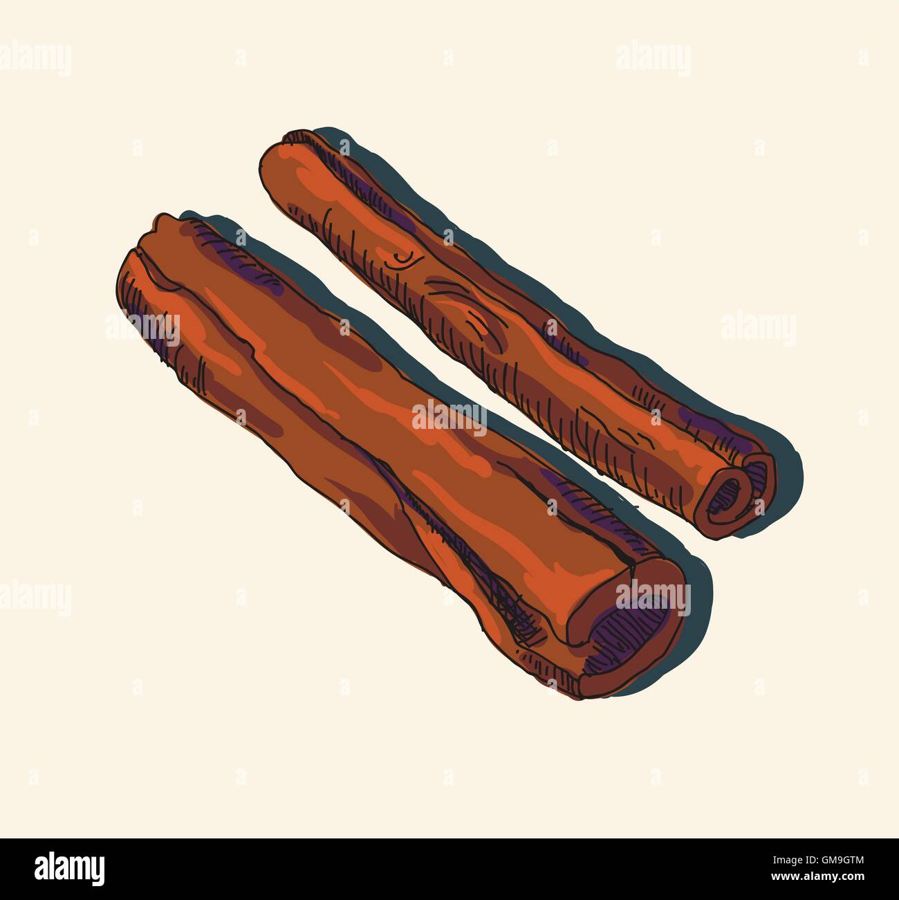 Vector illustration of cinnamon sticks Stock Vector Image & Art Alamy