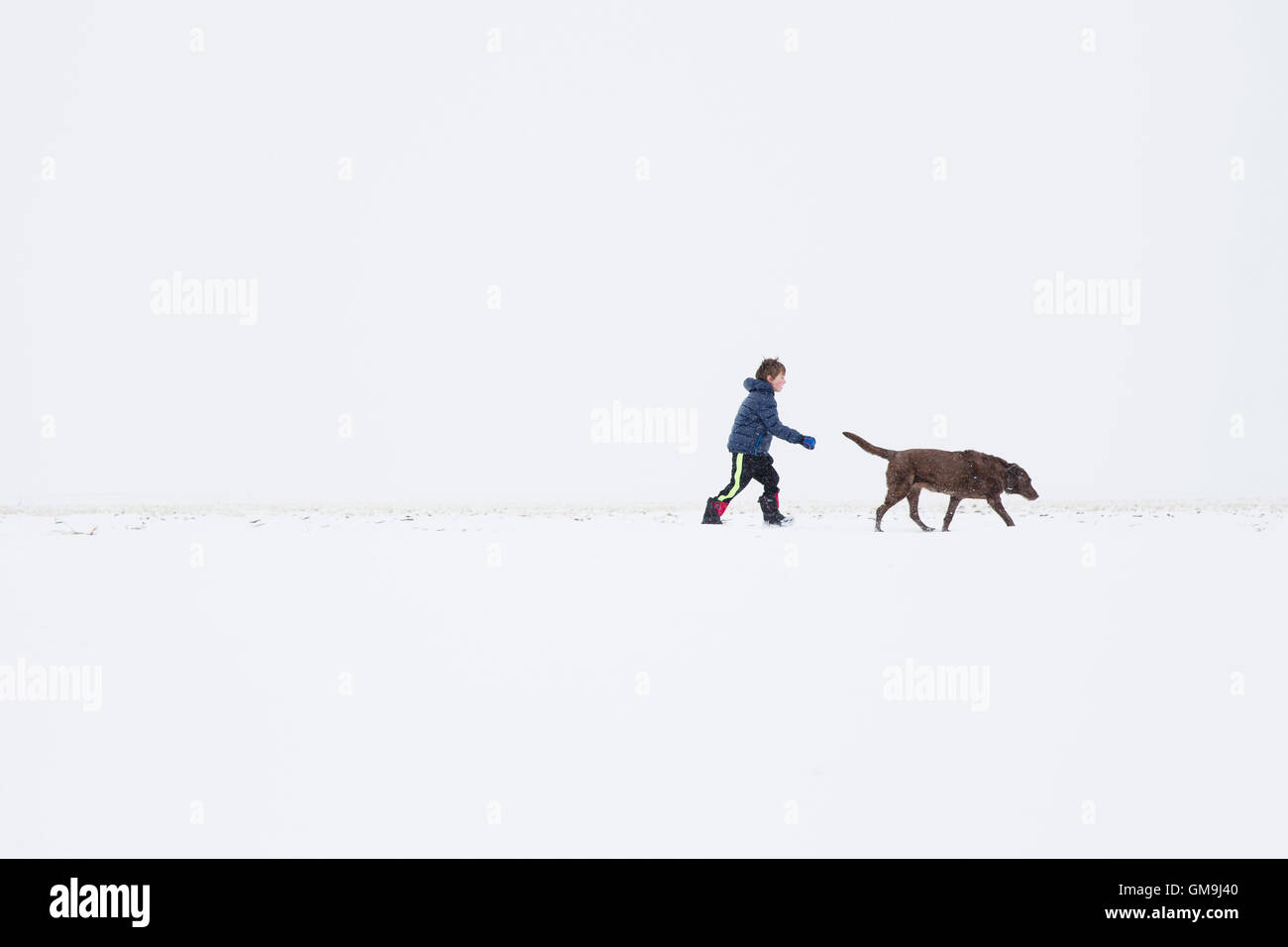 Boy (6-7) walking with dog in winter Stock Photo