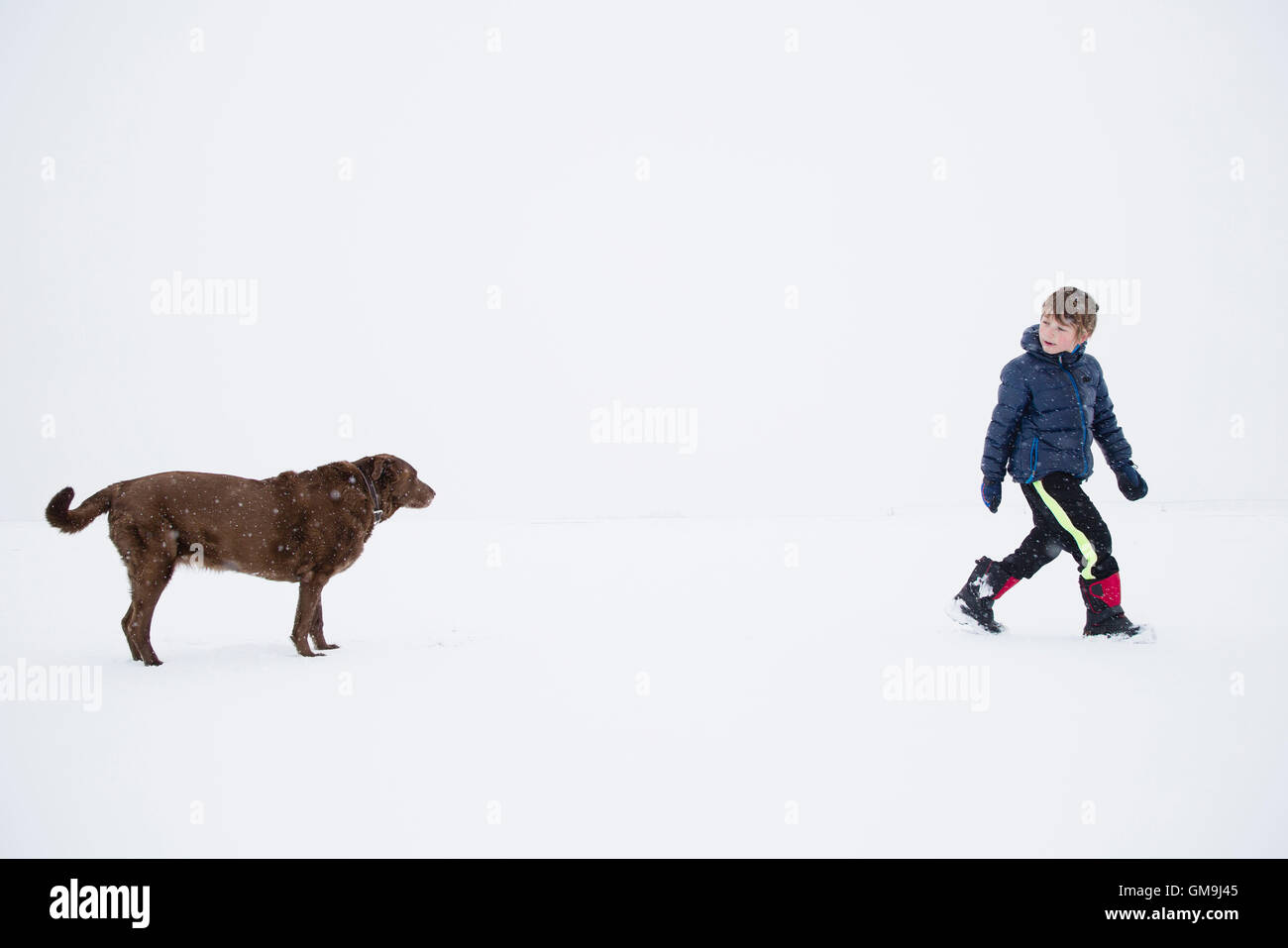 Boy (6-7) walking with dog Stock Photo