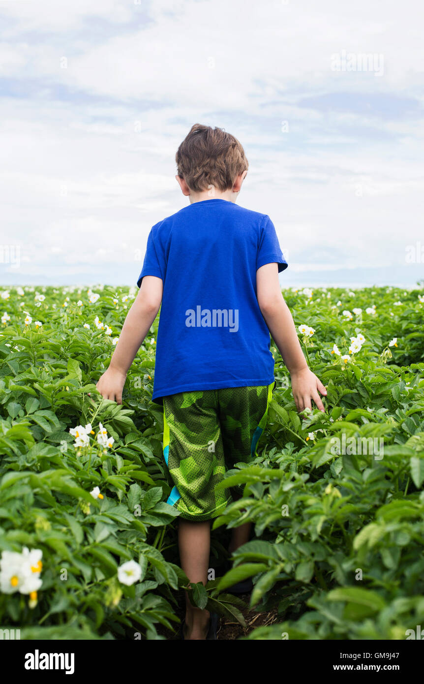 Boy (6-7) walking in field Stock Photo