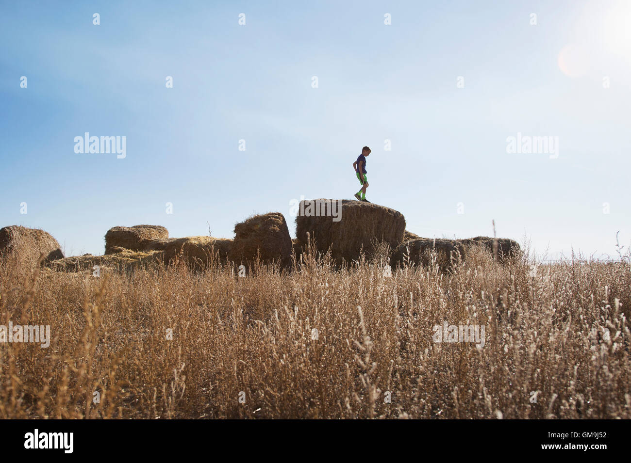 Boy (6-7) standing on bale of hay Stock Photo
