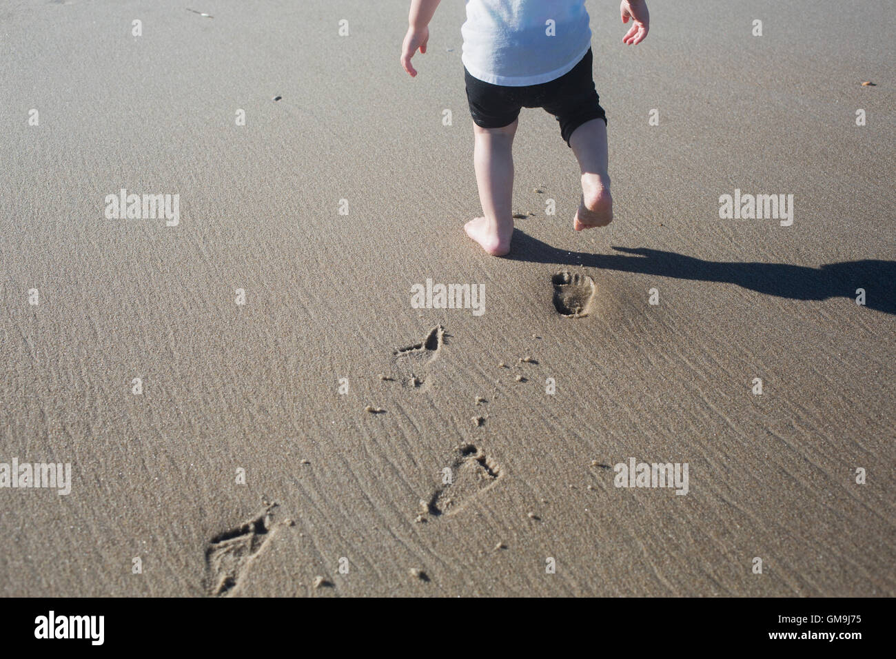 Girl (18-23 months) walking on sand Stock Photo