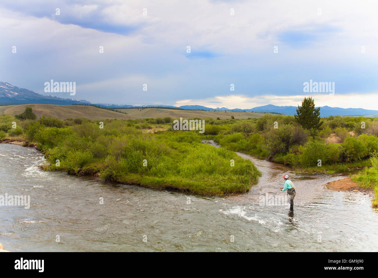 Colorado, Mid adult man fishing in river Stock Photo