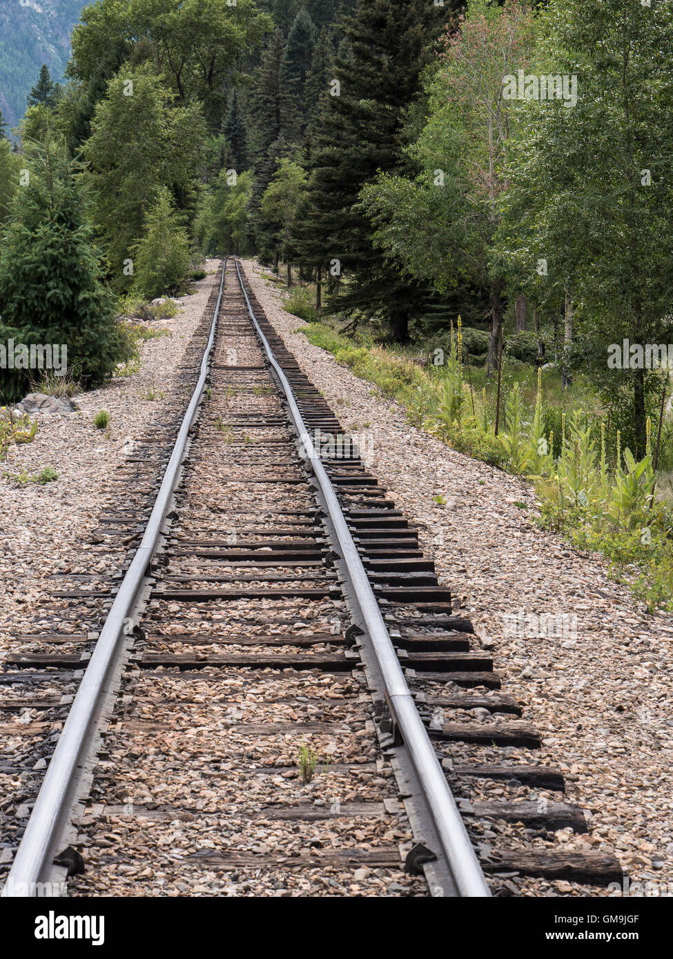 Tracks near Needleton, Durango and Silverton Narrow Gauge Railroad, Weminuche Wilderness Area, San Juan National Forest between Stock Photo