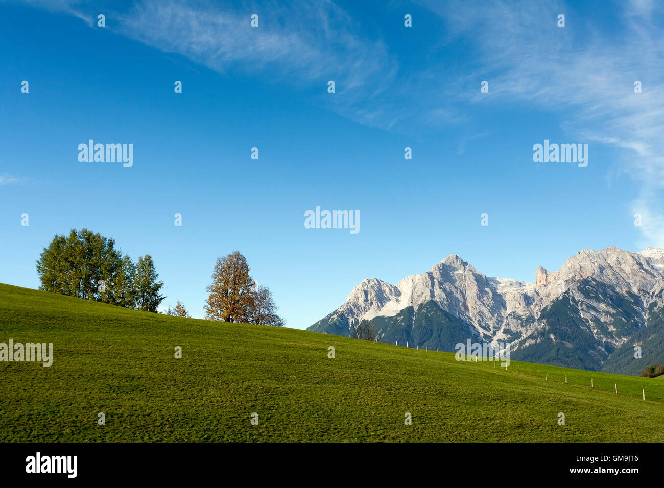 Austria, Salzburger Land, Maria Alm, Meadow with mountains in distance Stock Photo