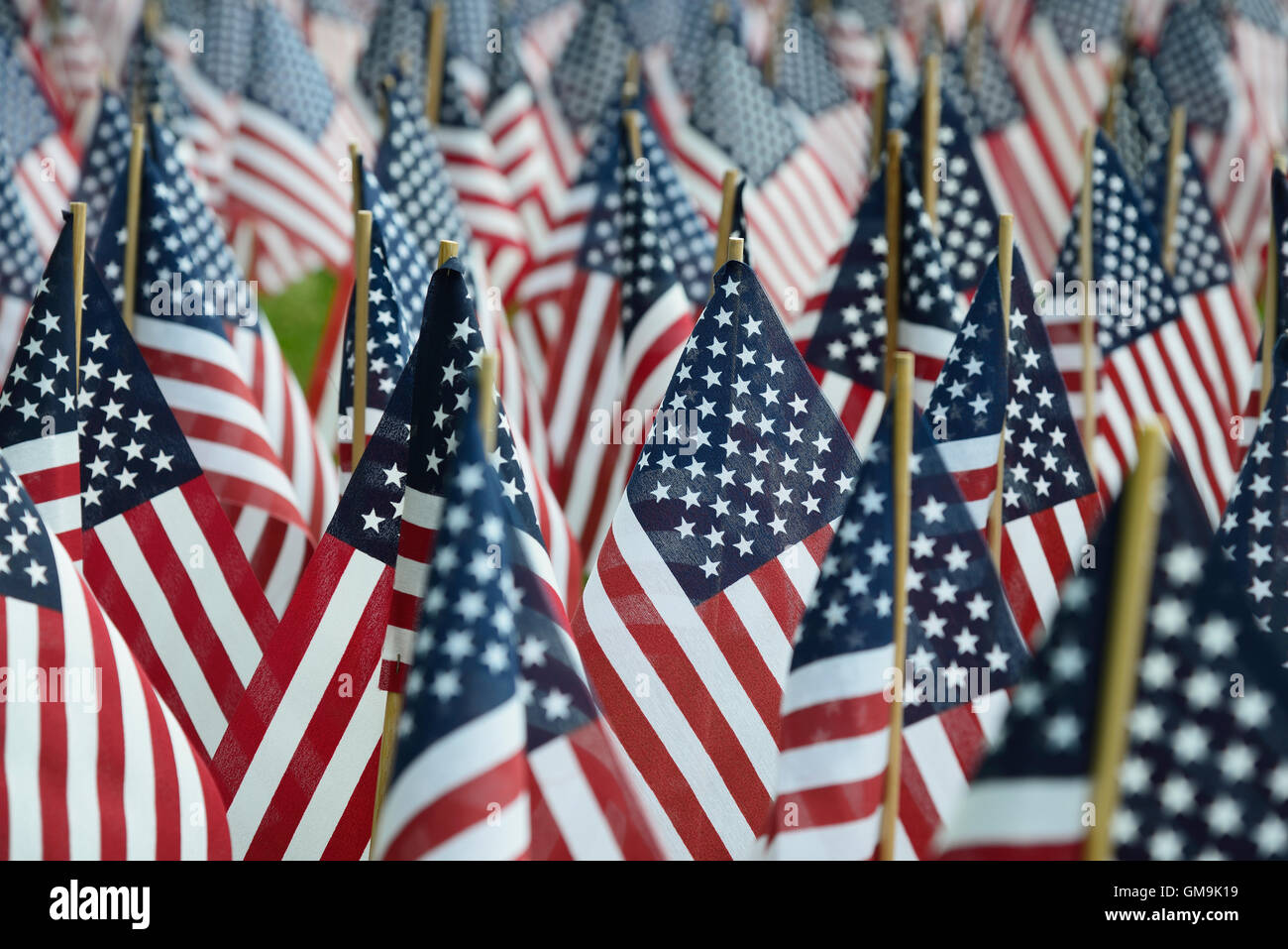 Massachusetts, Boston, American flags on Boston Common Stock Photo Alamy