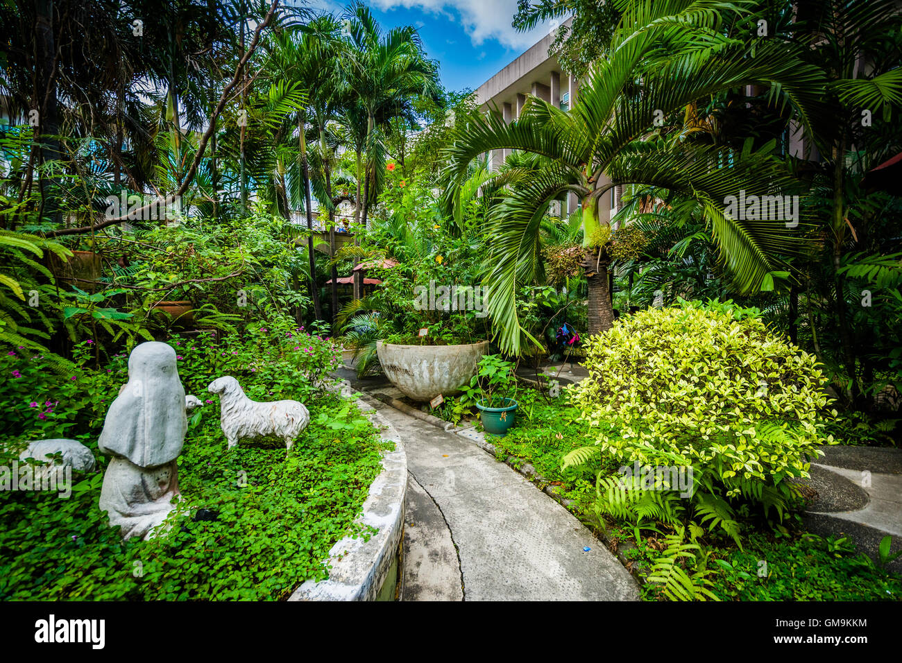 Gardens at the University of Santo Tomas, in Sampaloc, Manila, The Philippines. Stock Photo