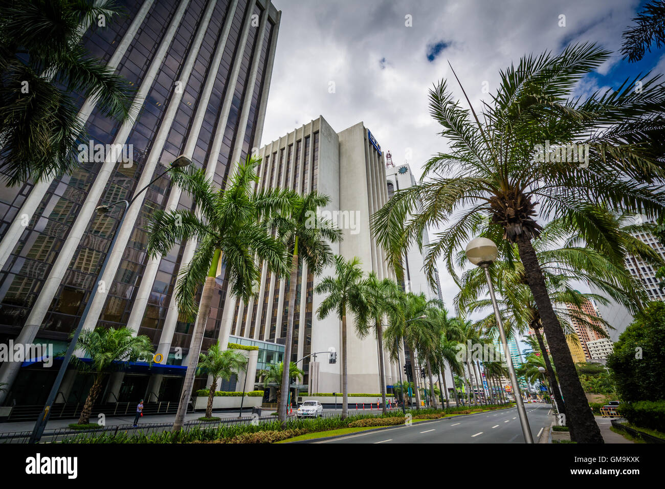 Palm trees and buildings along Makati Avenue, in Makati, Metro Manila