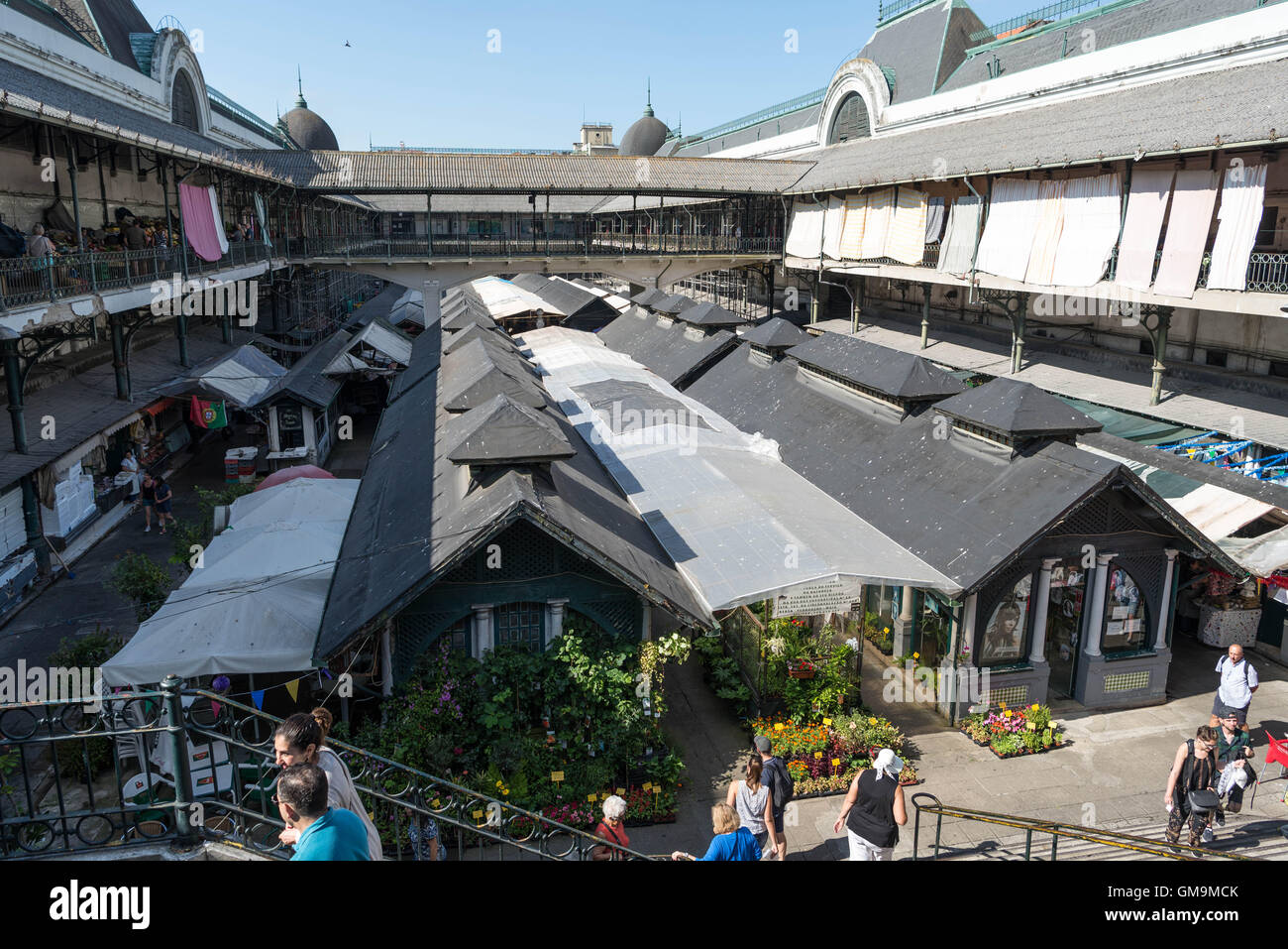 The market, Mercado do Bolhao, Porto Portugal Stock Photo Alamy The market, Mercado do Bolhao, Porto Portugal Stock Photo Alamy
