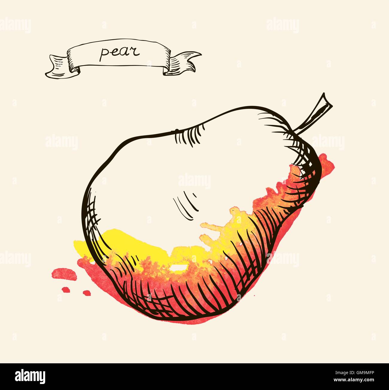 hand drawn vintage illustration of pear Stock Vector Image & Art - Alamy