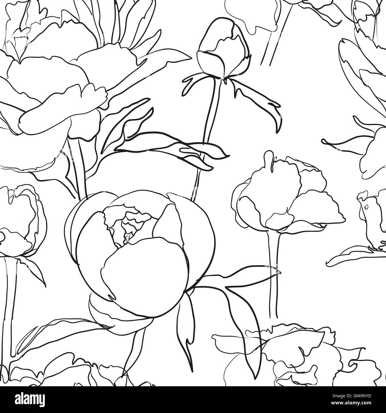 Seamless floral background with peonies Stock Vector Image & Art - Alamy