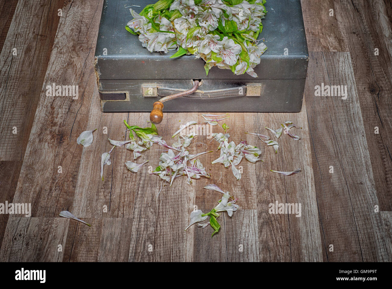Vintage turntable vinyl record player Stock Photo - Alamy