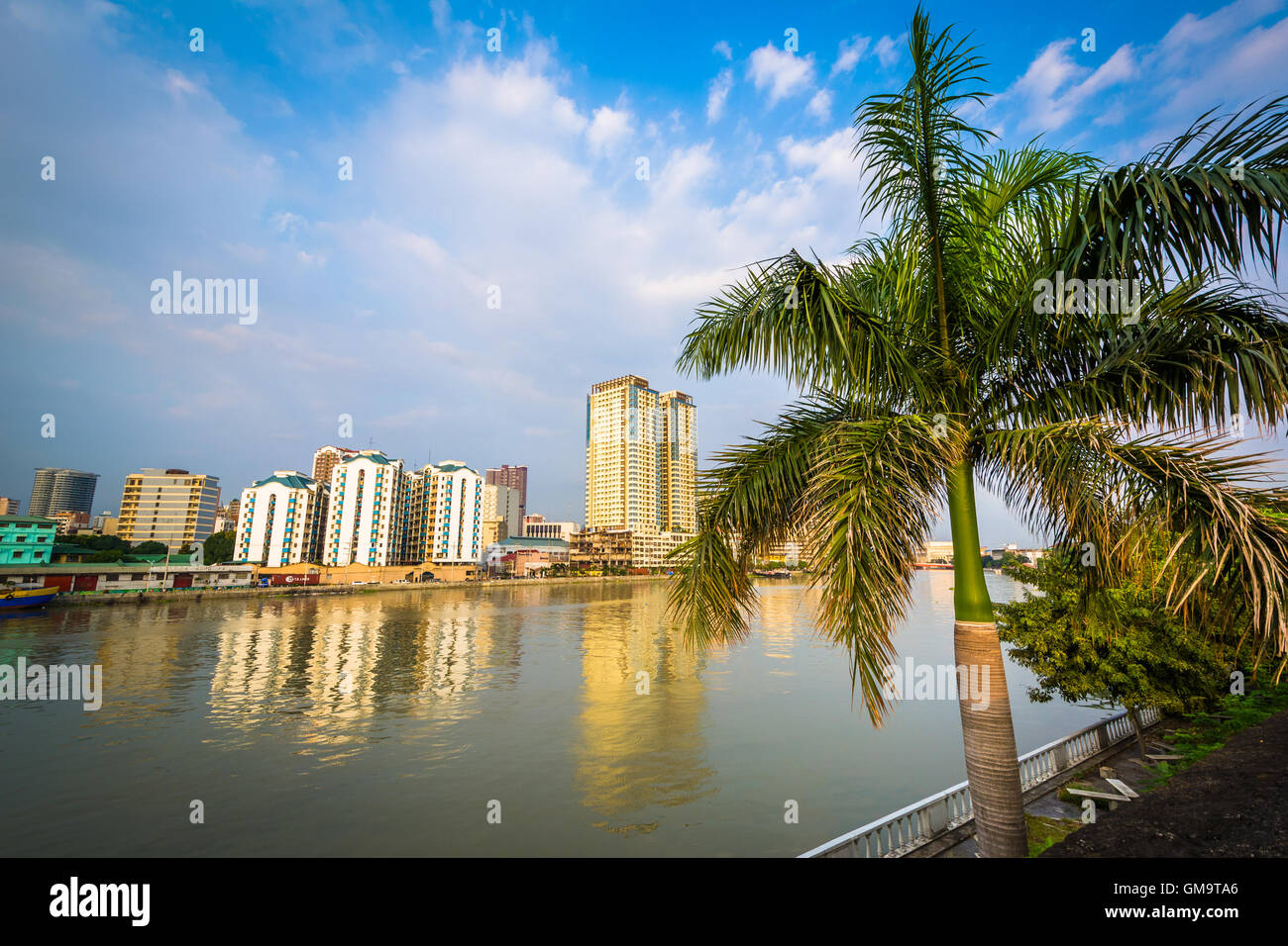 Palm tree and buildings along the Pasig River, seen from Fort Santiago, in Intramuros, Manila, The Philippines. Stock Photo