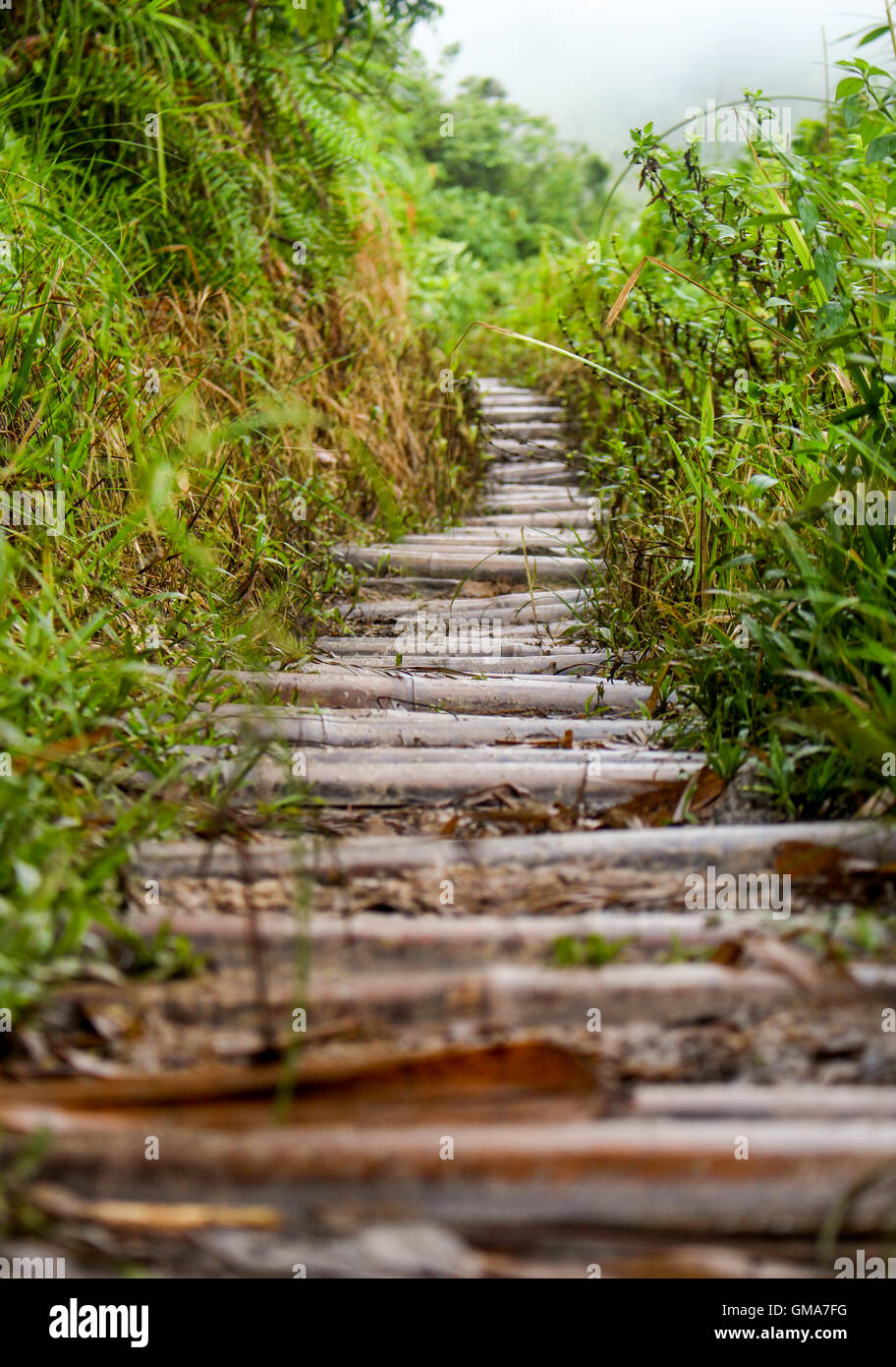 The winding path ahead. Stock Photo